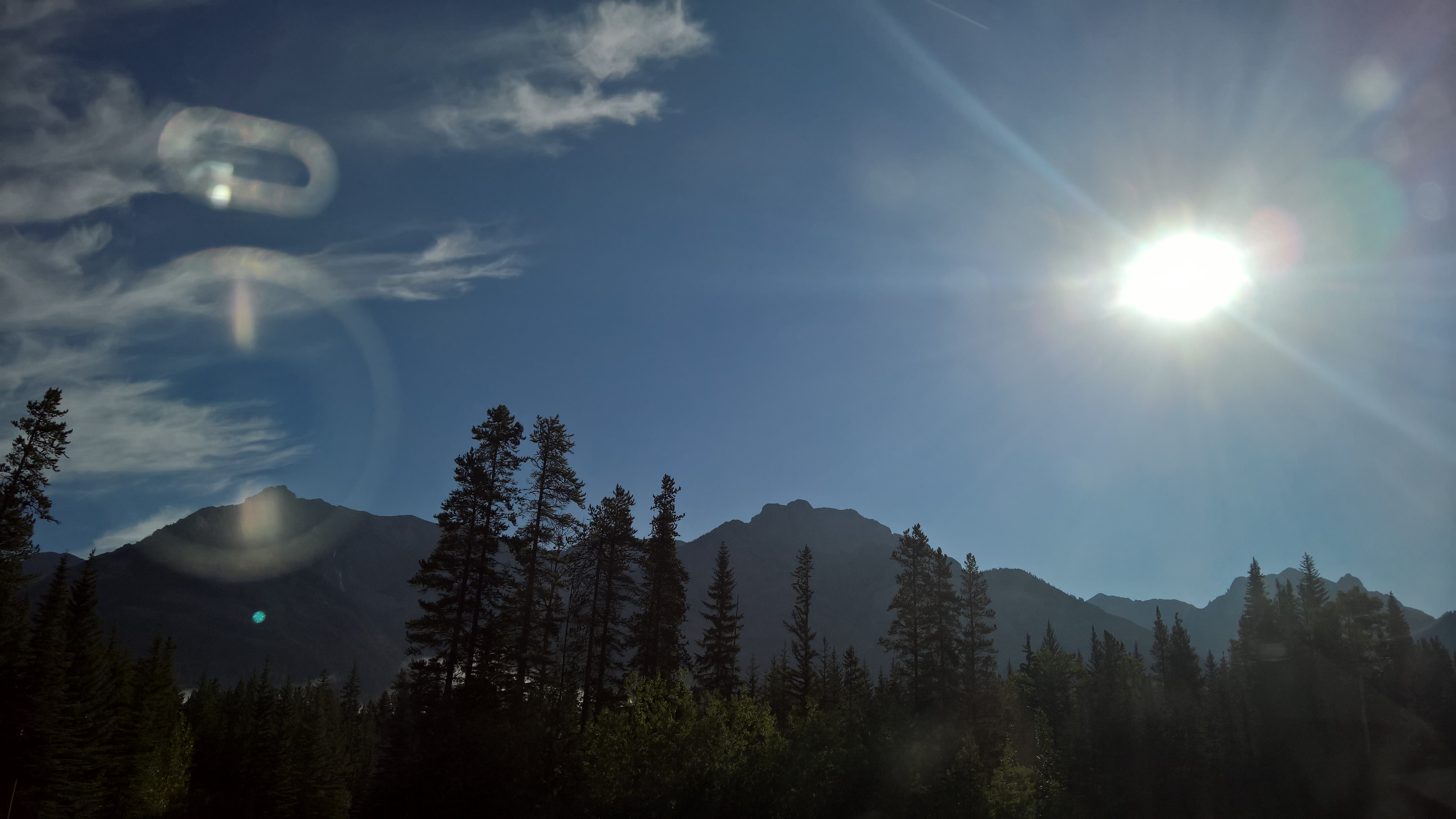 WP_20160809_09_16_48_Rich