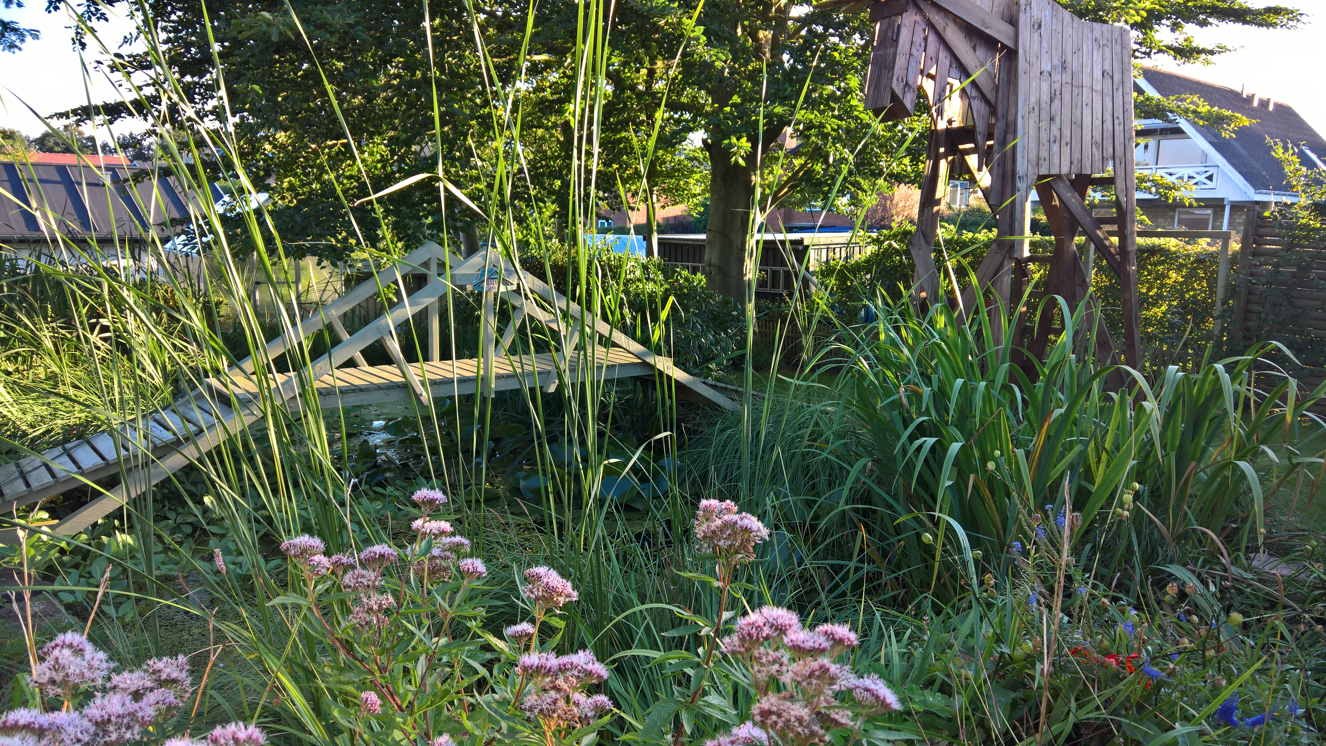 WP_20160819_19_44_26_Rich