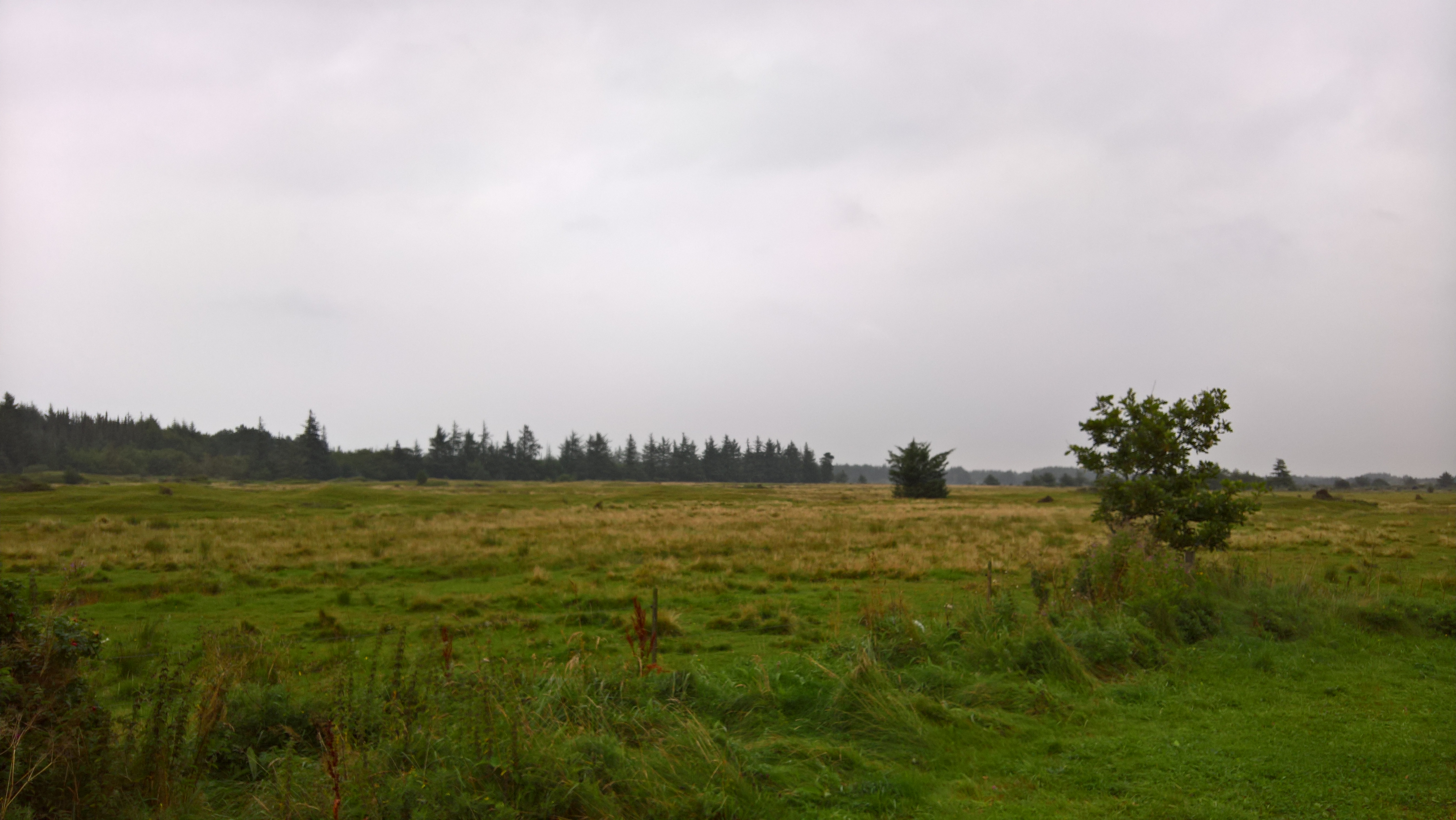WP_20160820_16_57_08_Rich