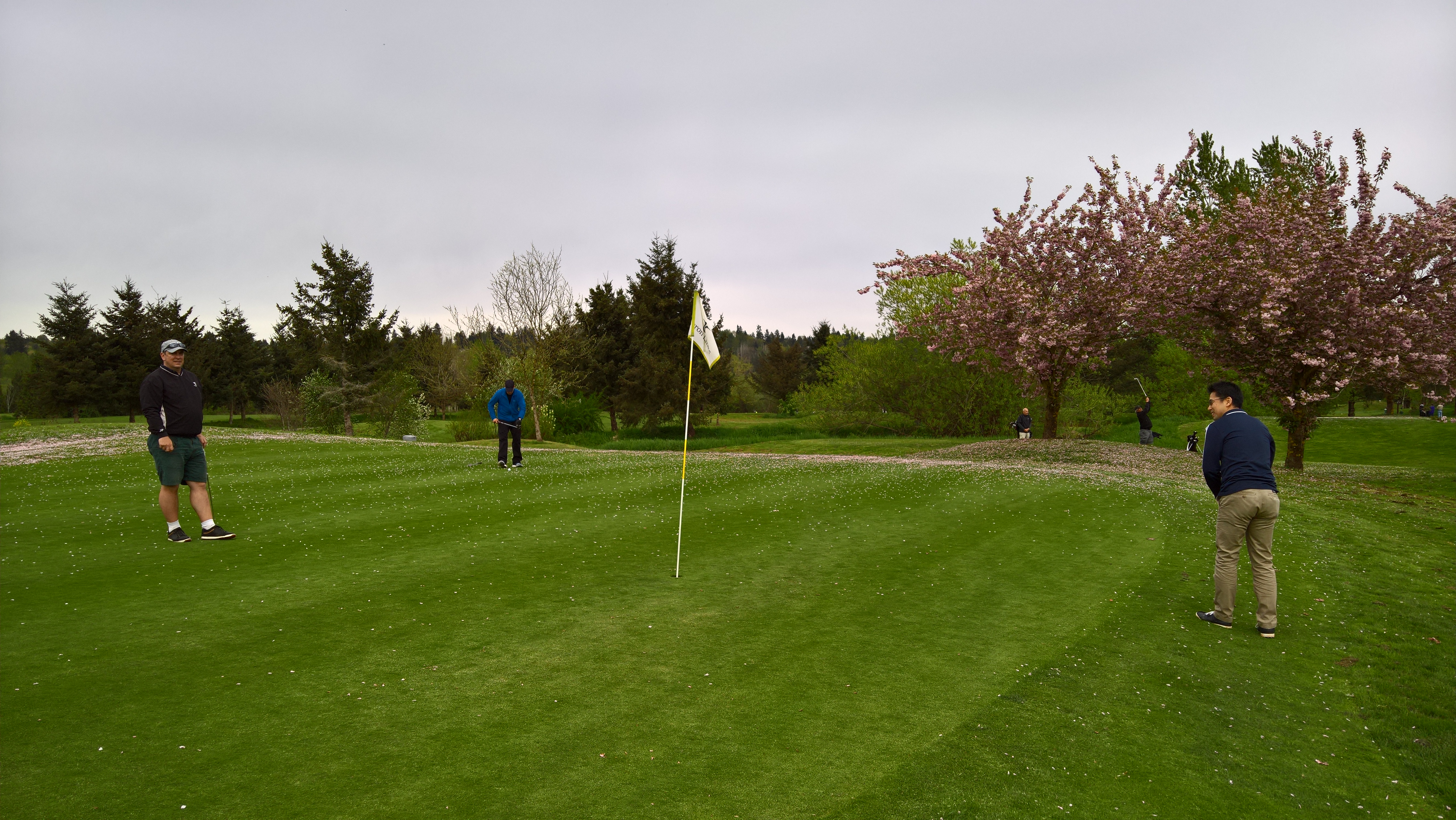 WP_20160413_16_41_17_Pro