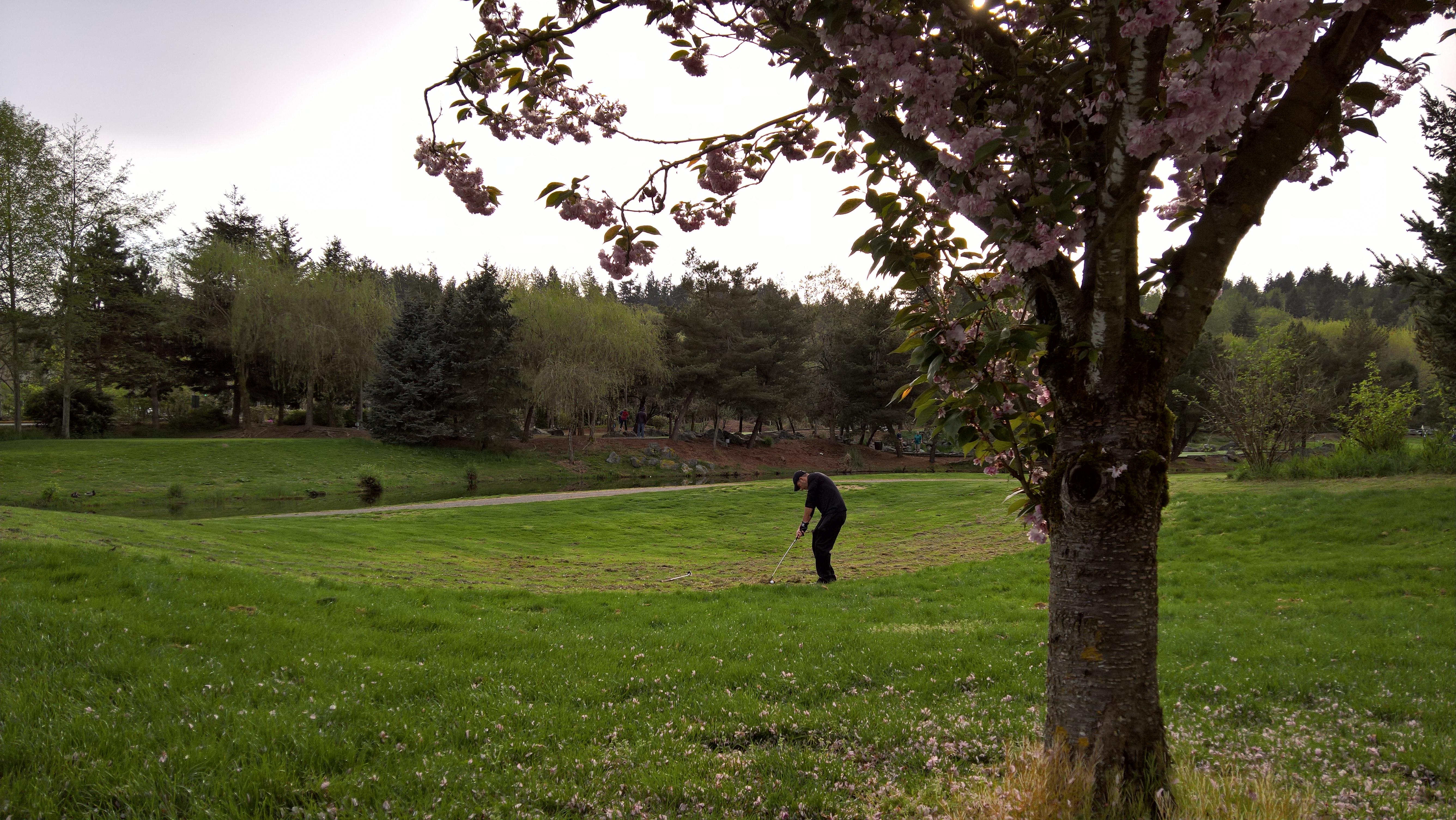 WP_20160413_17_44_15_Pro