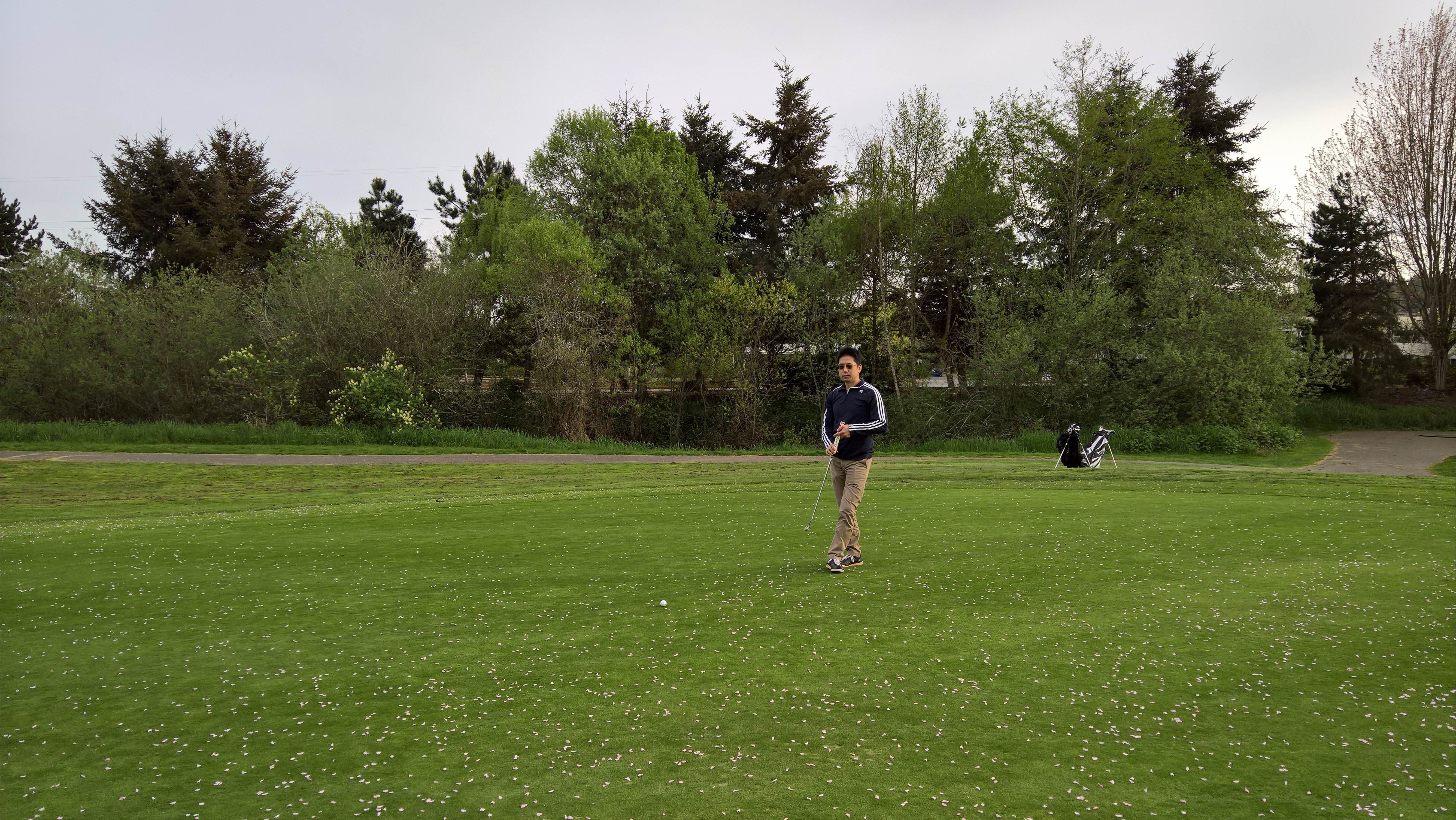 WP_20160413_17_45_22_Pro