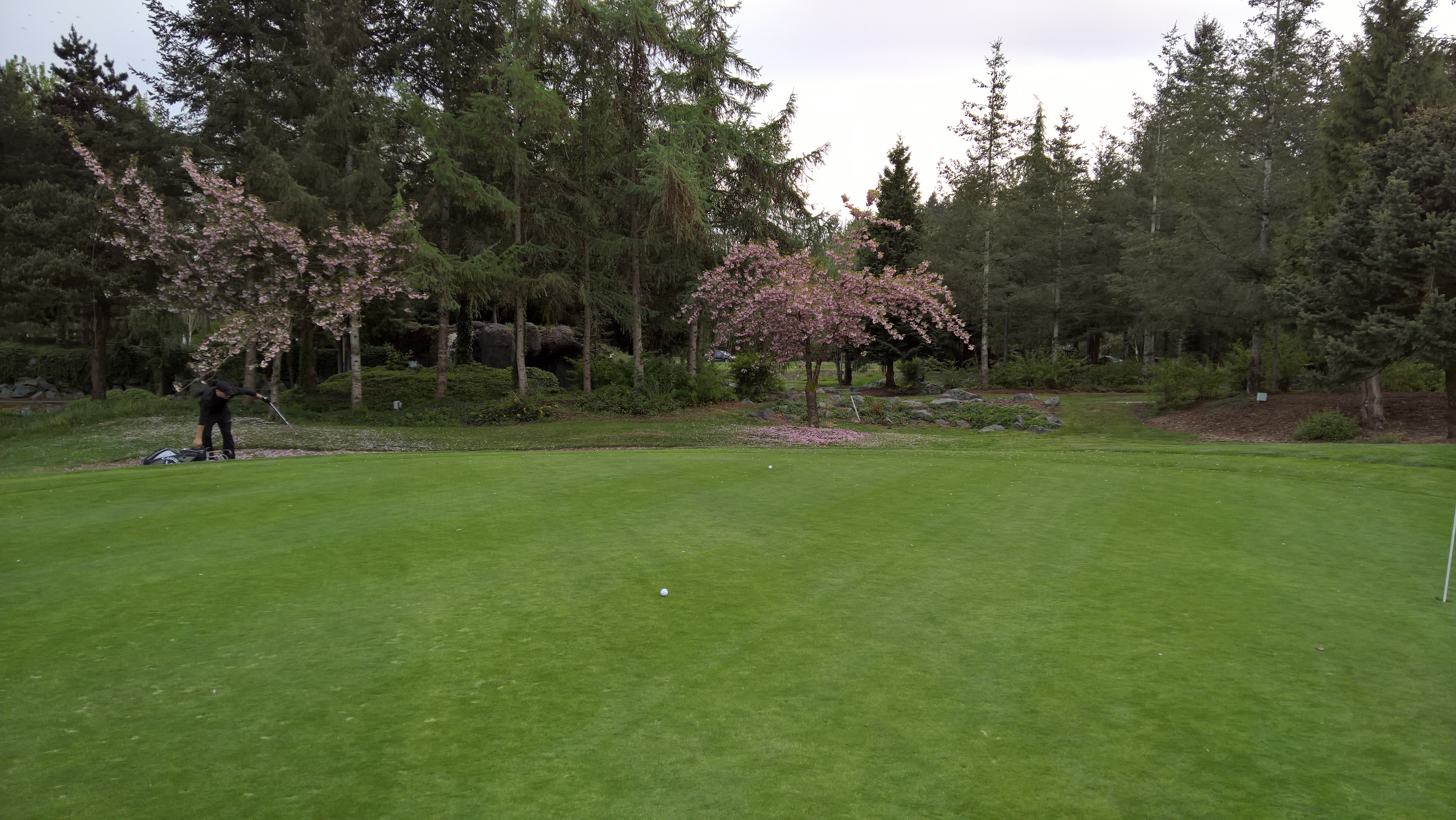 WP_20160413_18_03_34_Pro