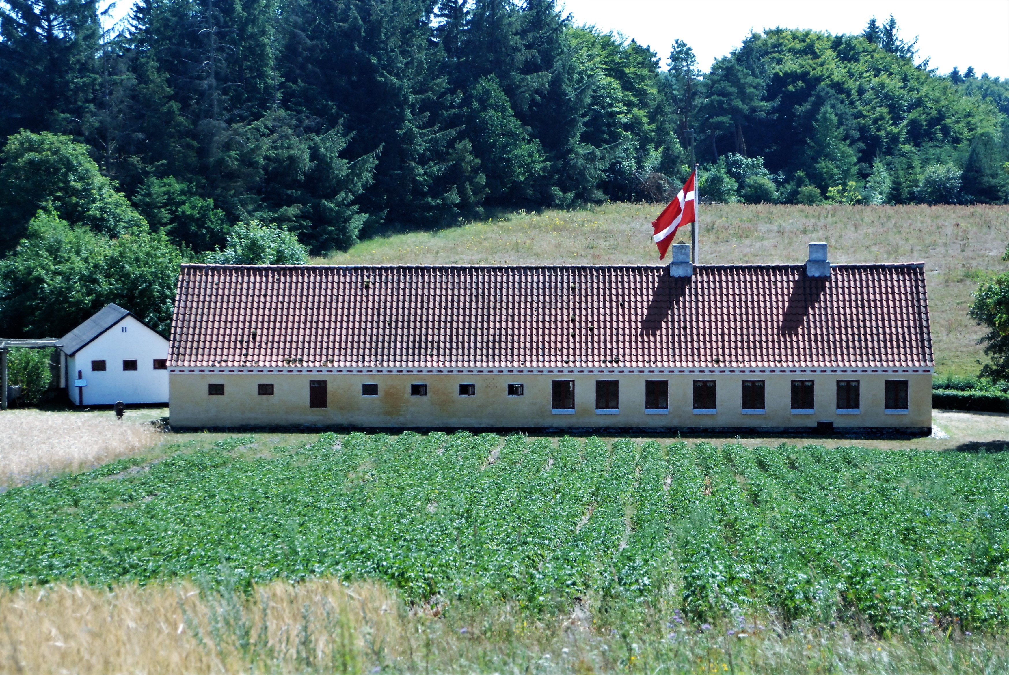 2018 07 13 03 Mosbjerg