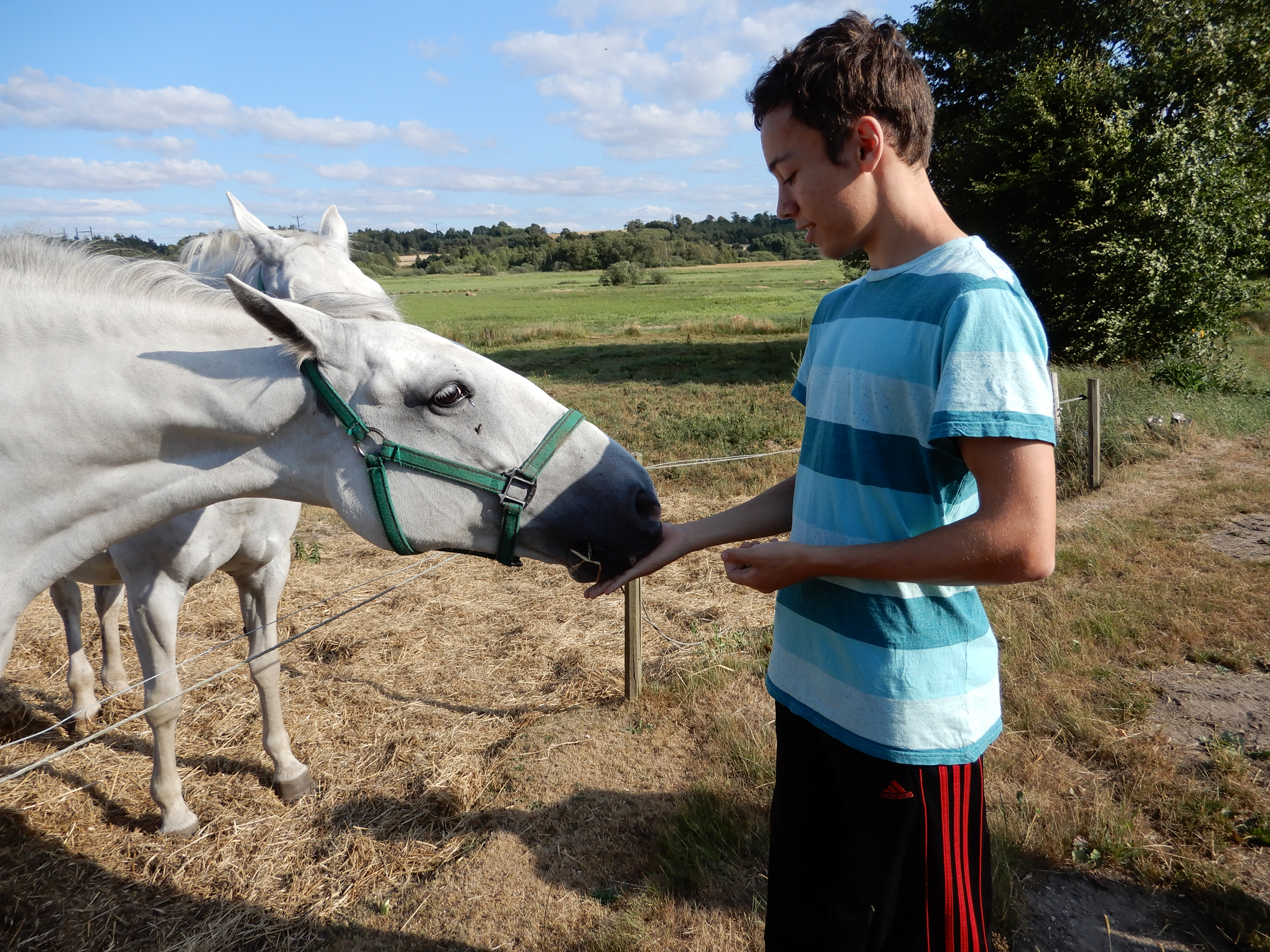 2018 07 22 Vejrumbro 06