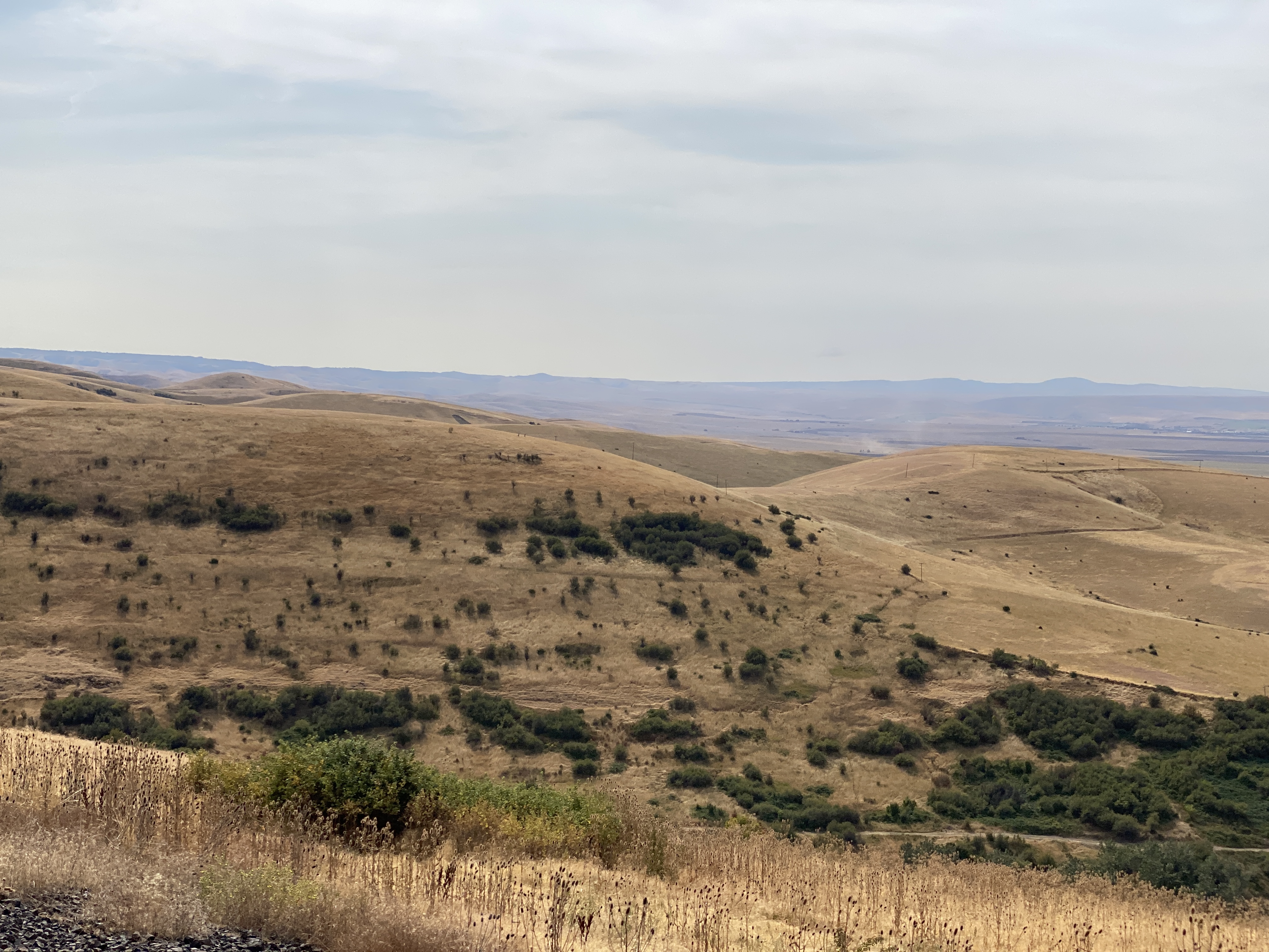 2022-09-17 13-59-11  Camera Apple 4.05 MB United States..OR..Umatilla Co...Pendleton..