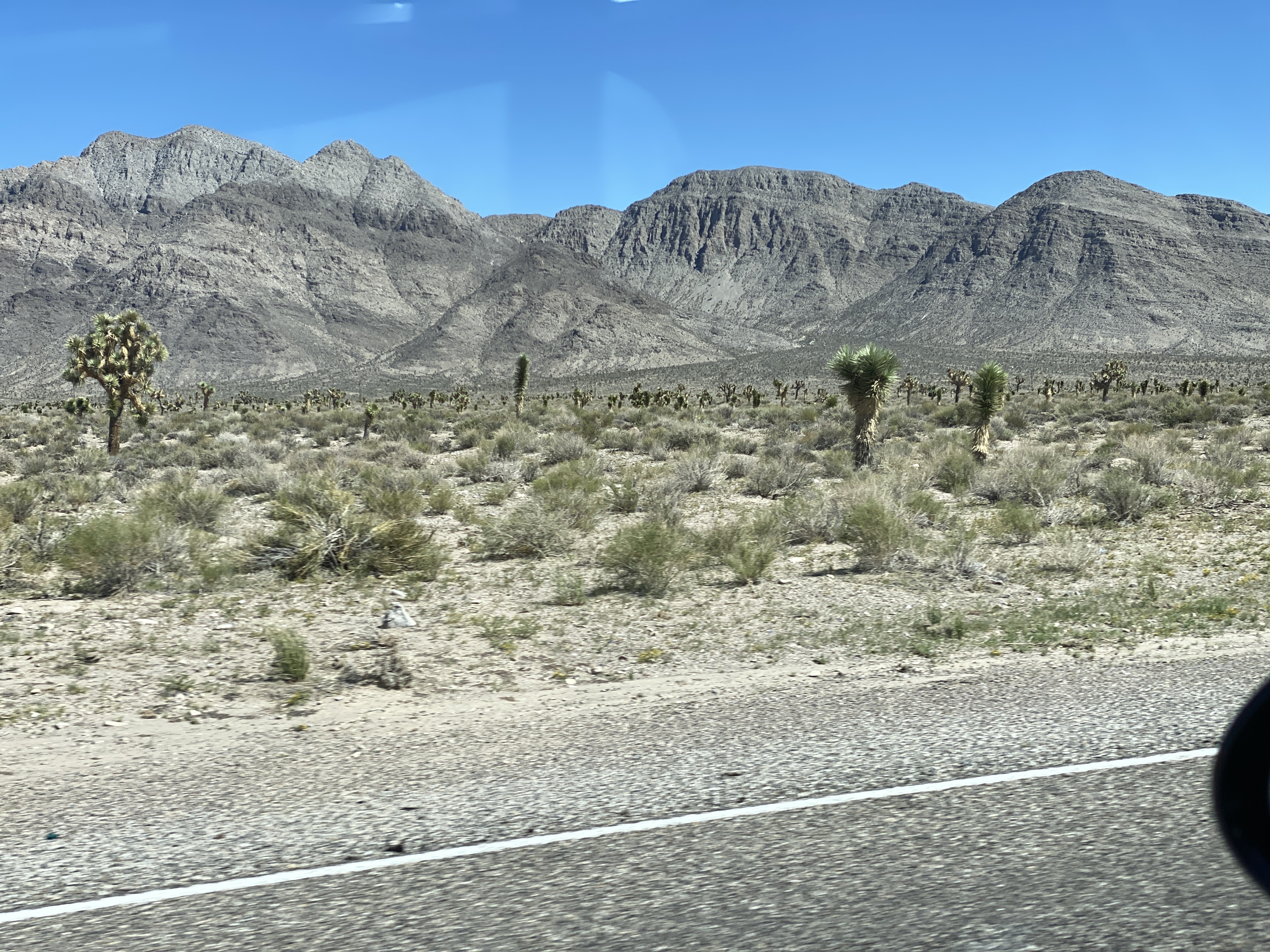 2022-09-18 12-43-12  Camera Apple 4.86 MB United States..NV..Lincoln Co...Alamo..