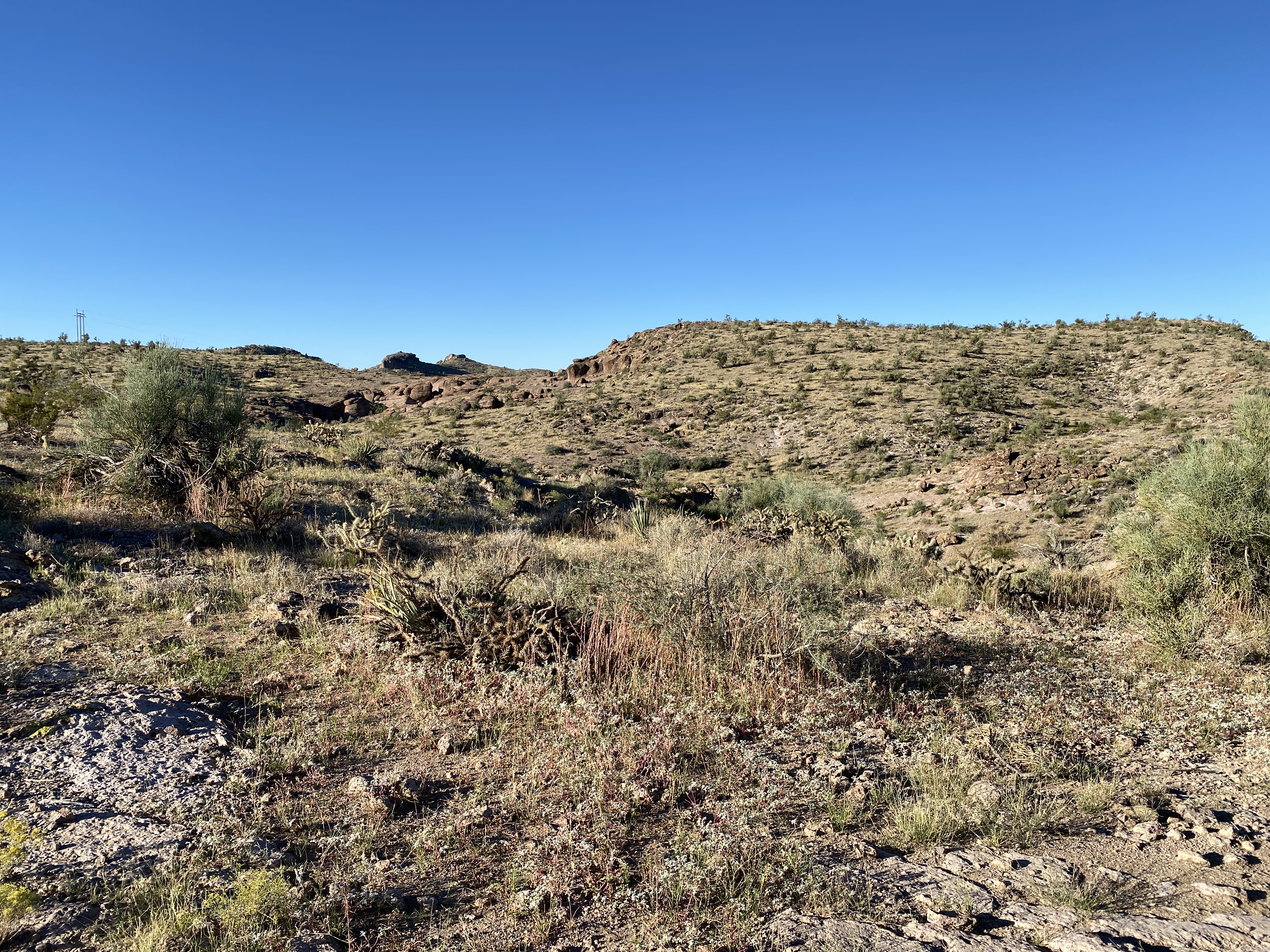 2022-09-19 07-48-36  Camera Apple 6.74 MB United States..AZ..Mohave Co...Kingman..