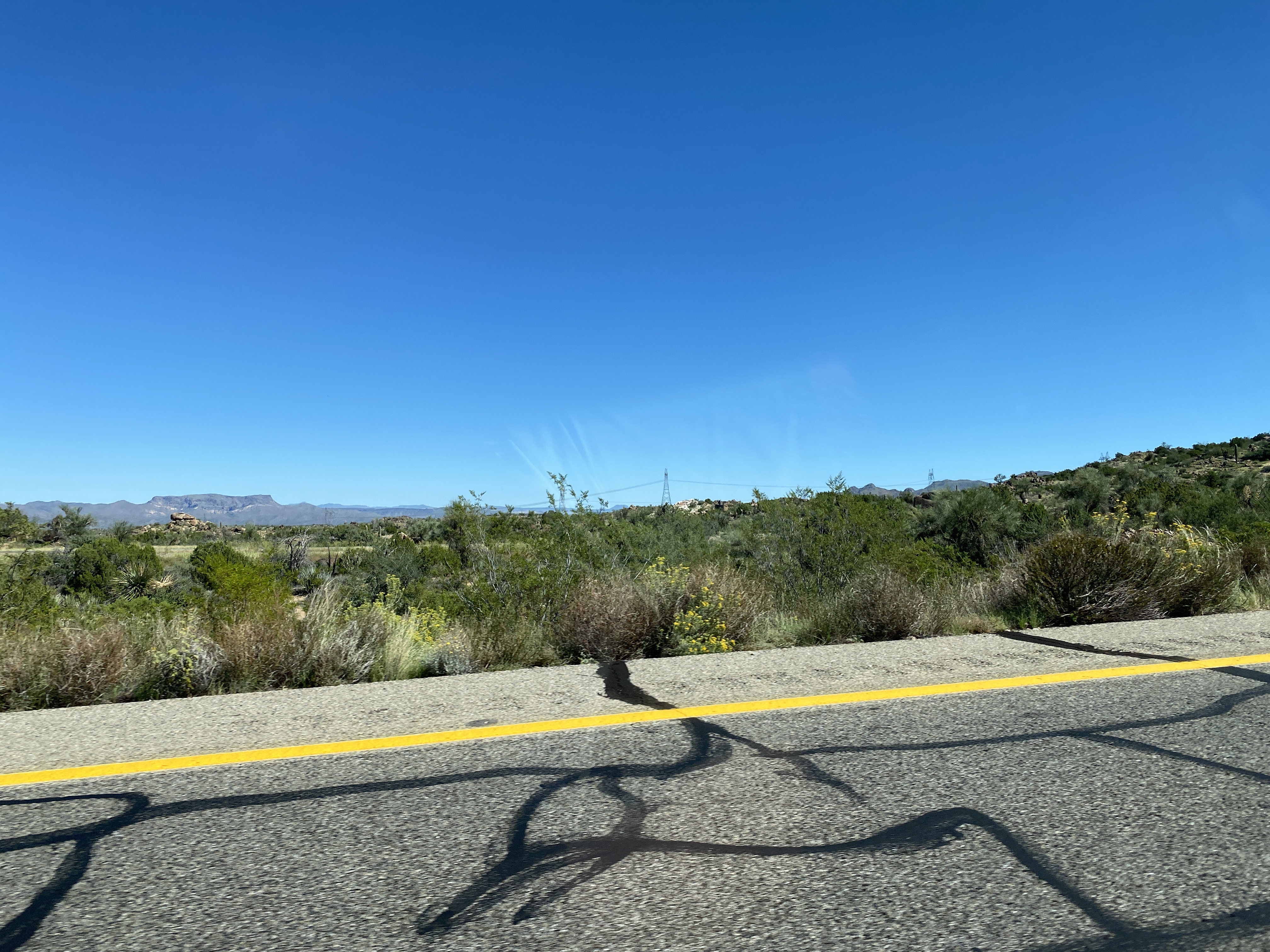 2022-09-19 10-42-50  Camera Apple 4.19 MB United States..AZ..Mohave Co...Yucca..