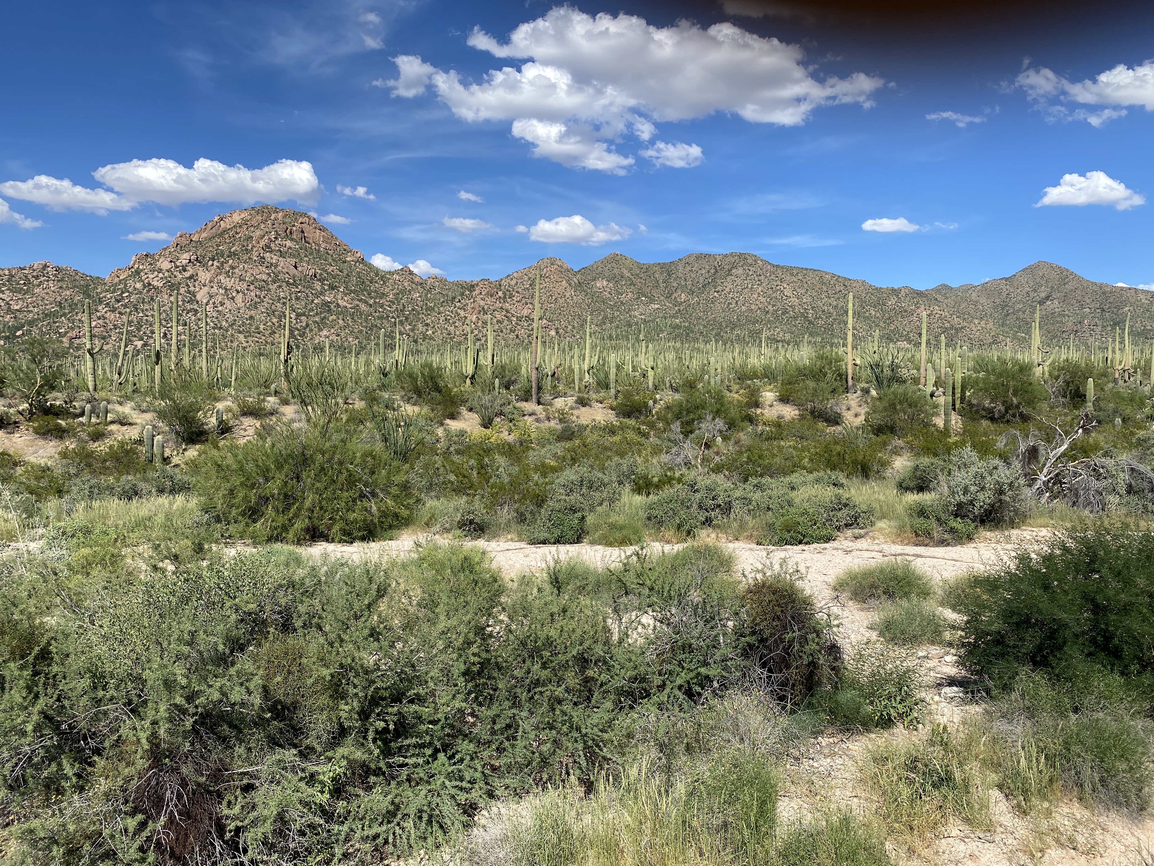 2022-09-19 14-38-33  Camera Apple 6.53 MB United States..AZ..Pima Co...Tucson..