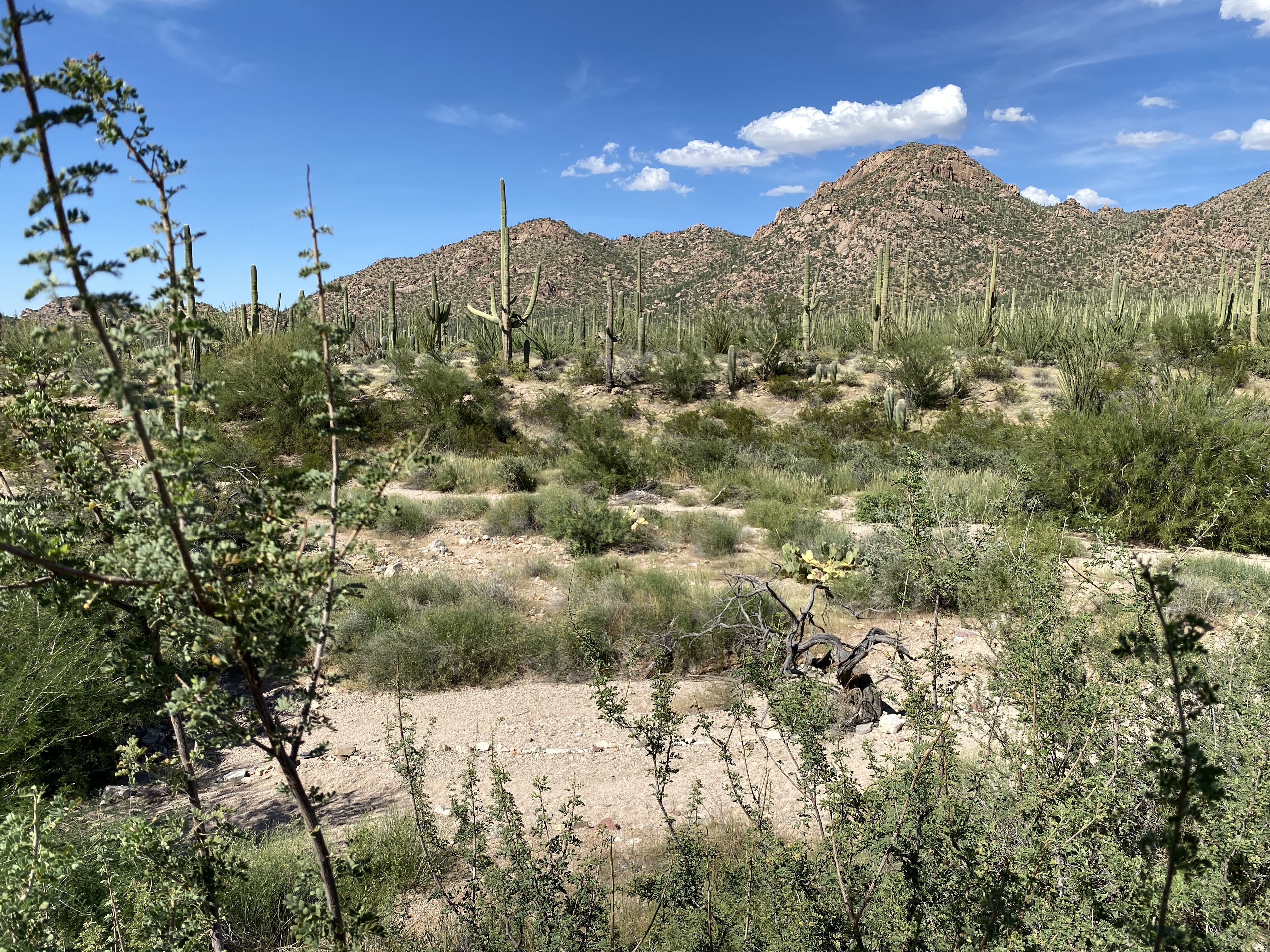 2022-09-19 14-38-45  Camera Apple 6.45 MB United States..AZ..Pima Co...Tucson..