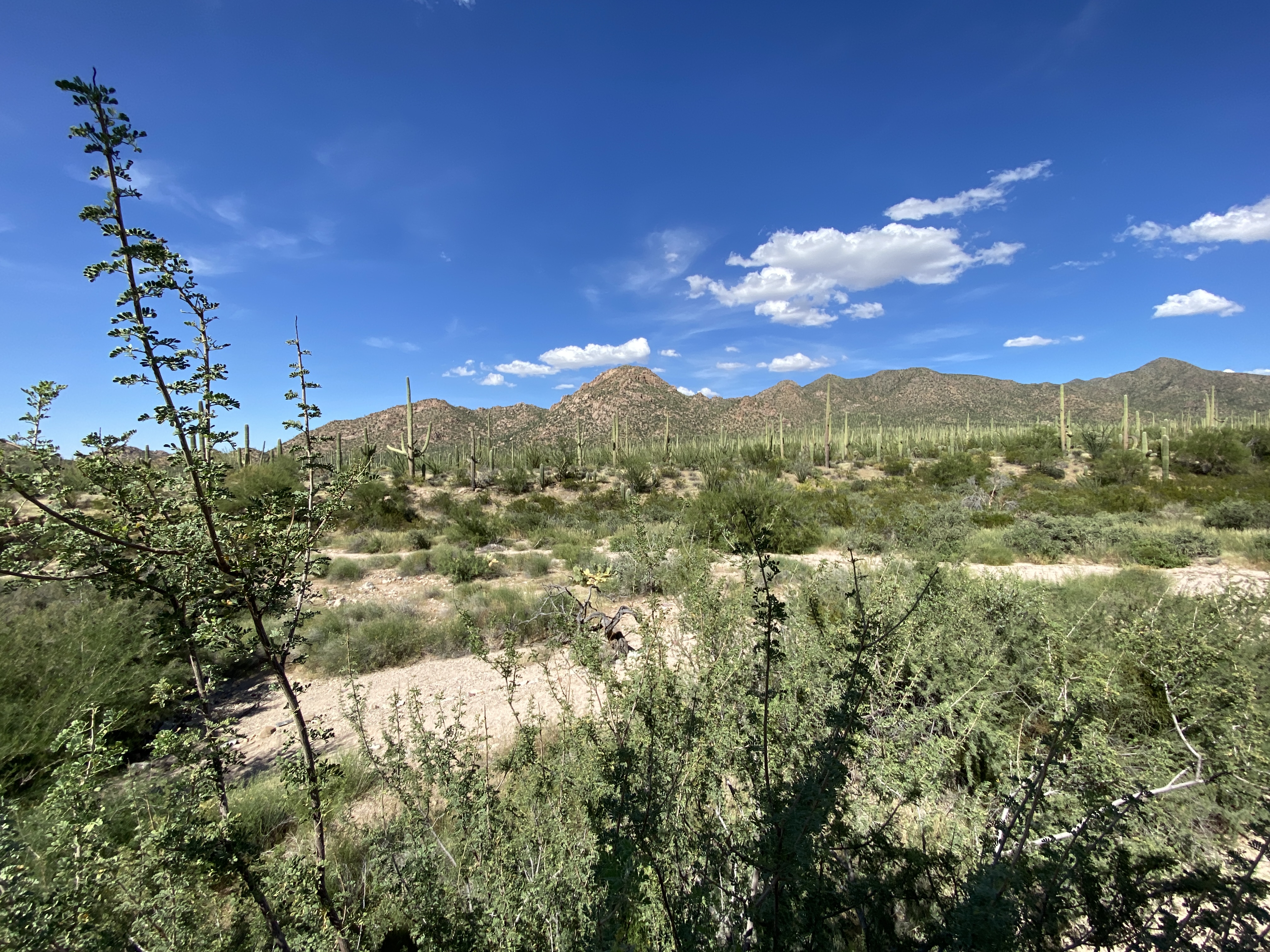 2022-09-19 14-38-50  Camera Apple 3.83 MB United States..AZ..Pima Co...Tucson..
