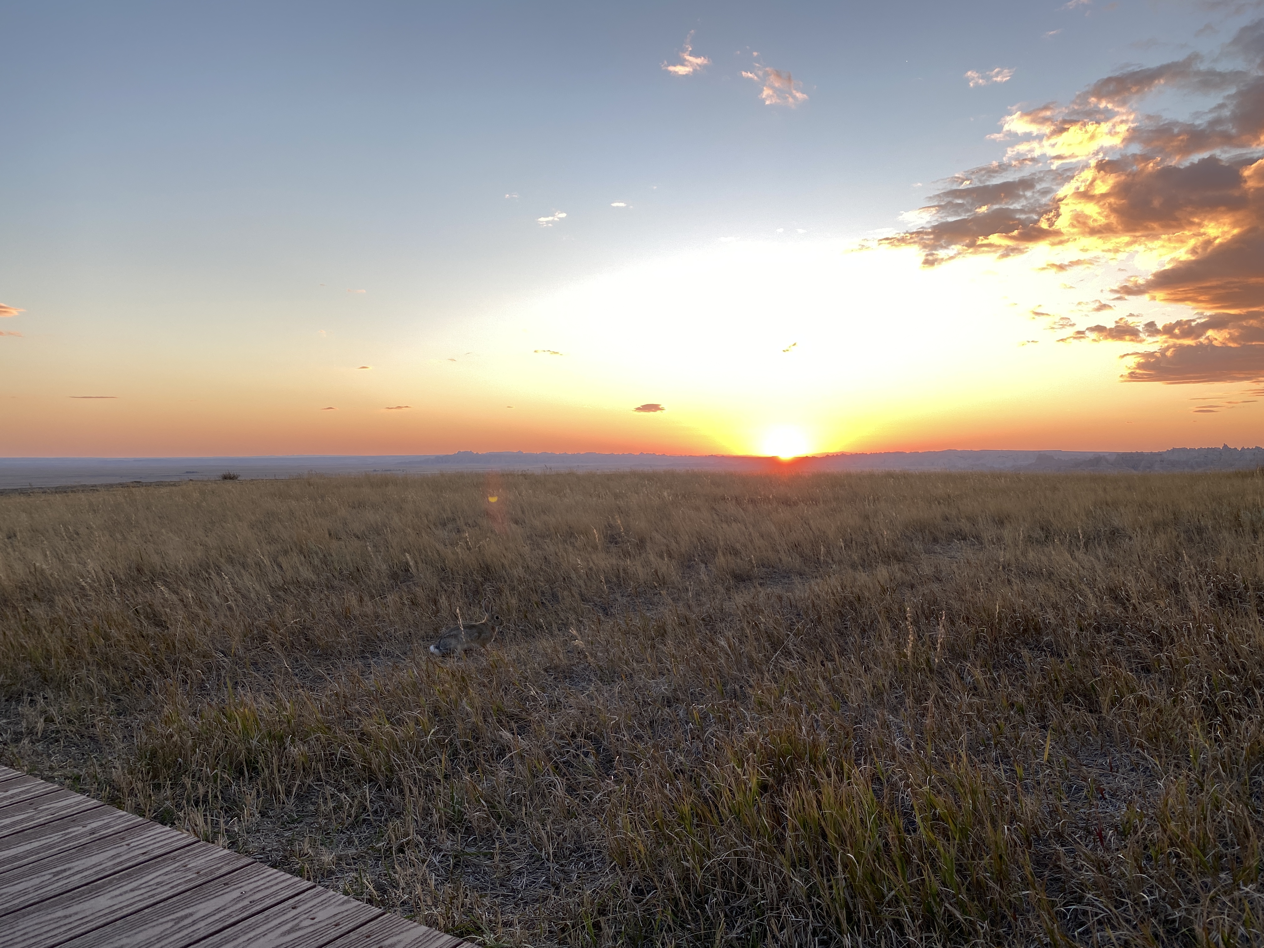 2022-09-23 18-41-09  Camera Apple 3.86 MB United States..SD..Pennington Co...Scenic..