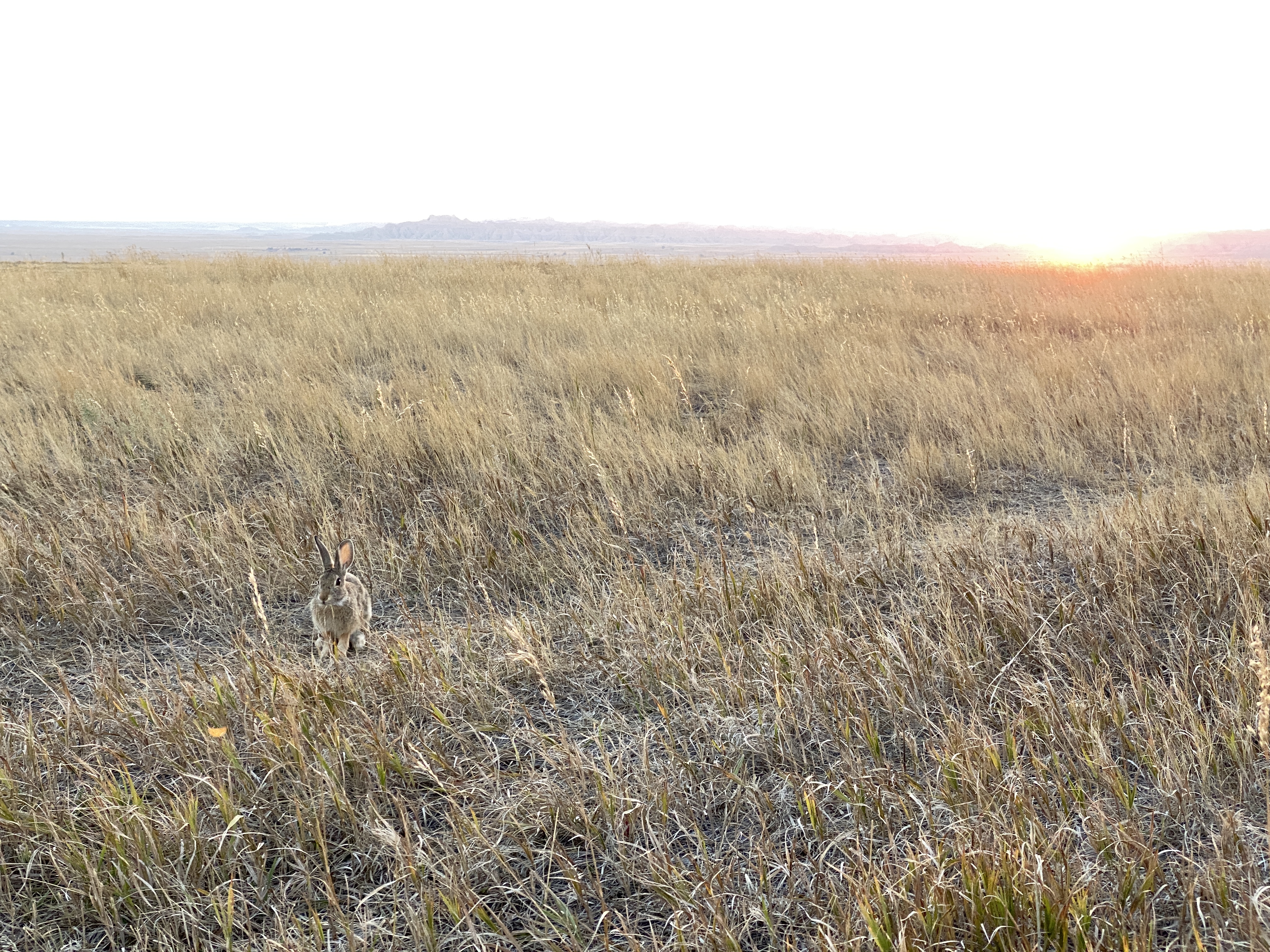 2022-09-23 18-41-22  Camera Apple 5.80 MB United States..SD..Pennington Co...Scenic..