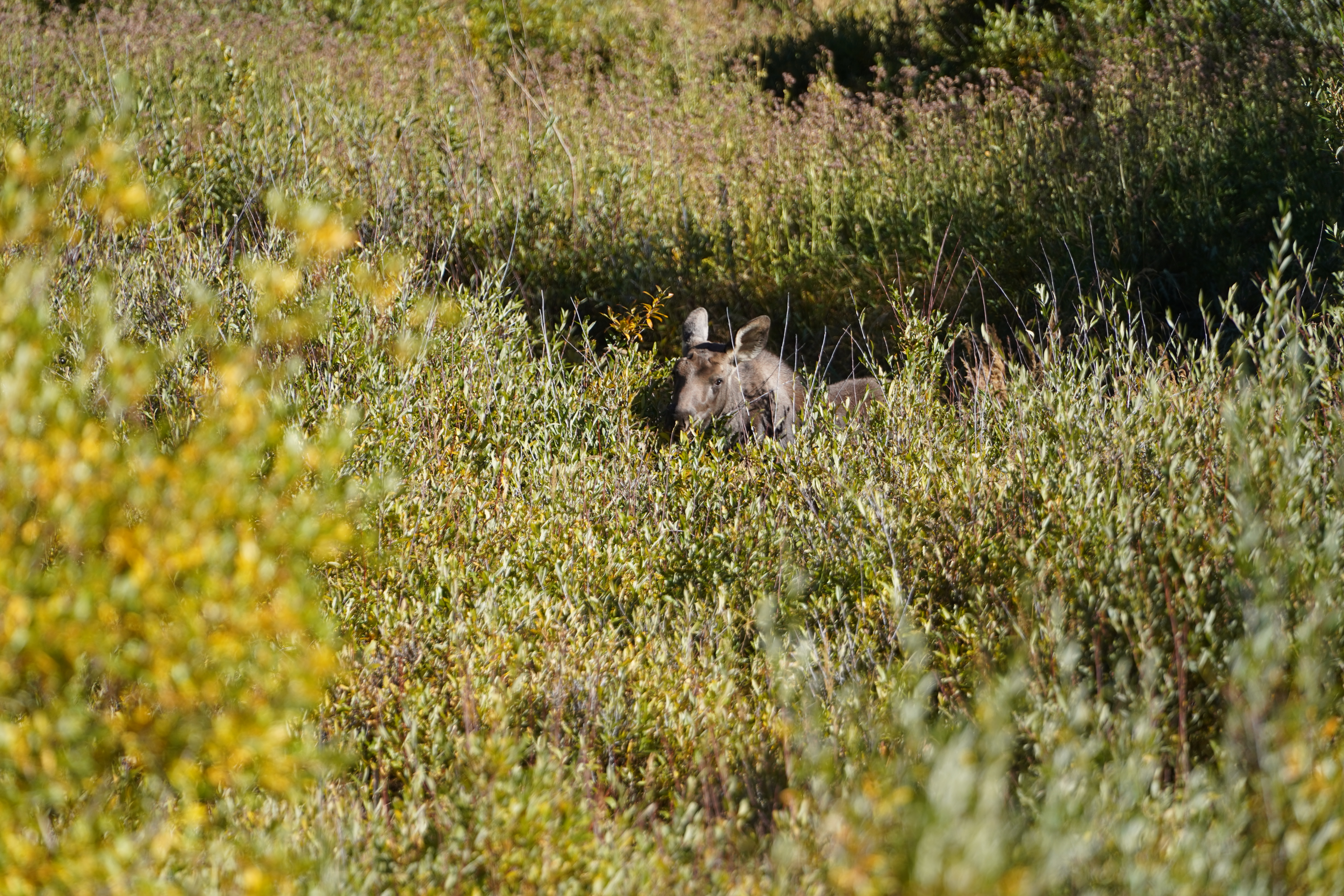 2022-09-25 08-13-41  Camera SONY 18.53 MB 