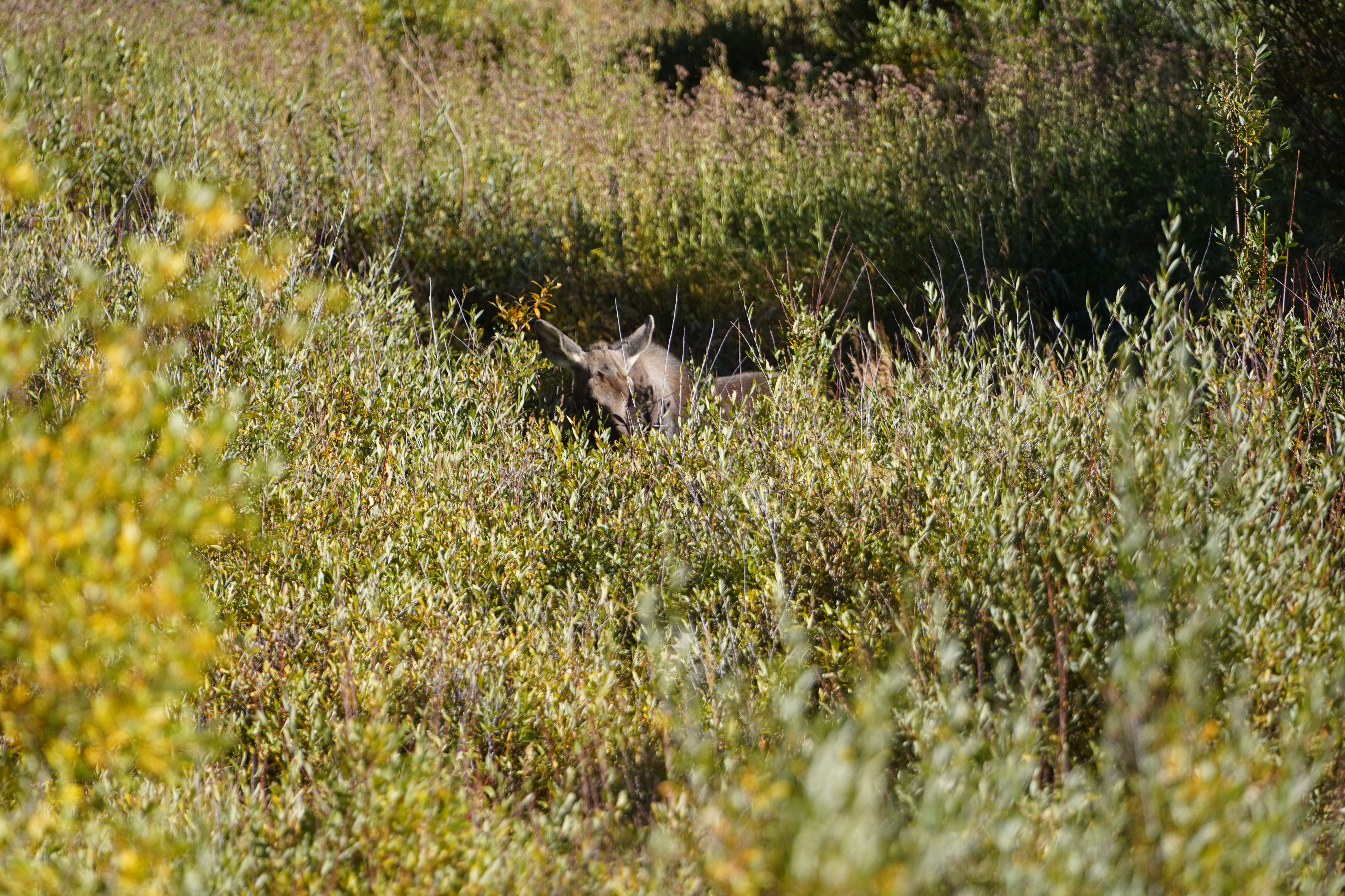 2022-09-25 08-13-44  Camera SONY 19.31 MB 