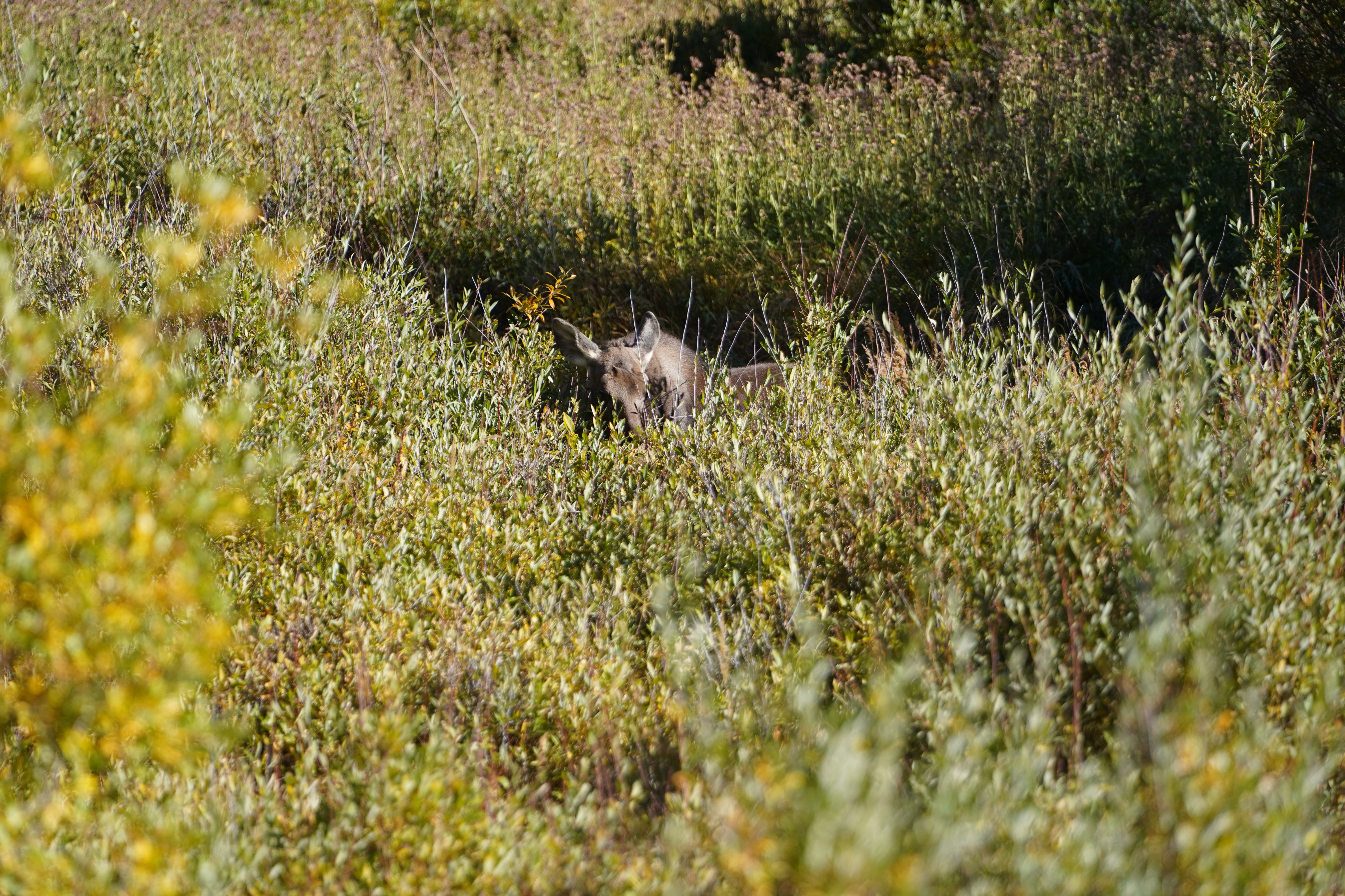 2022-09-25 08-13-45  Camera SONY 18.97 MB 
