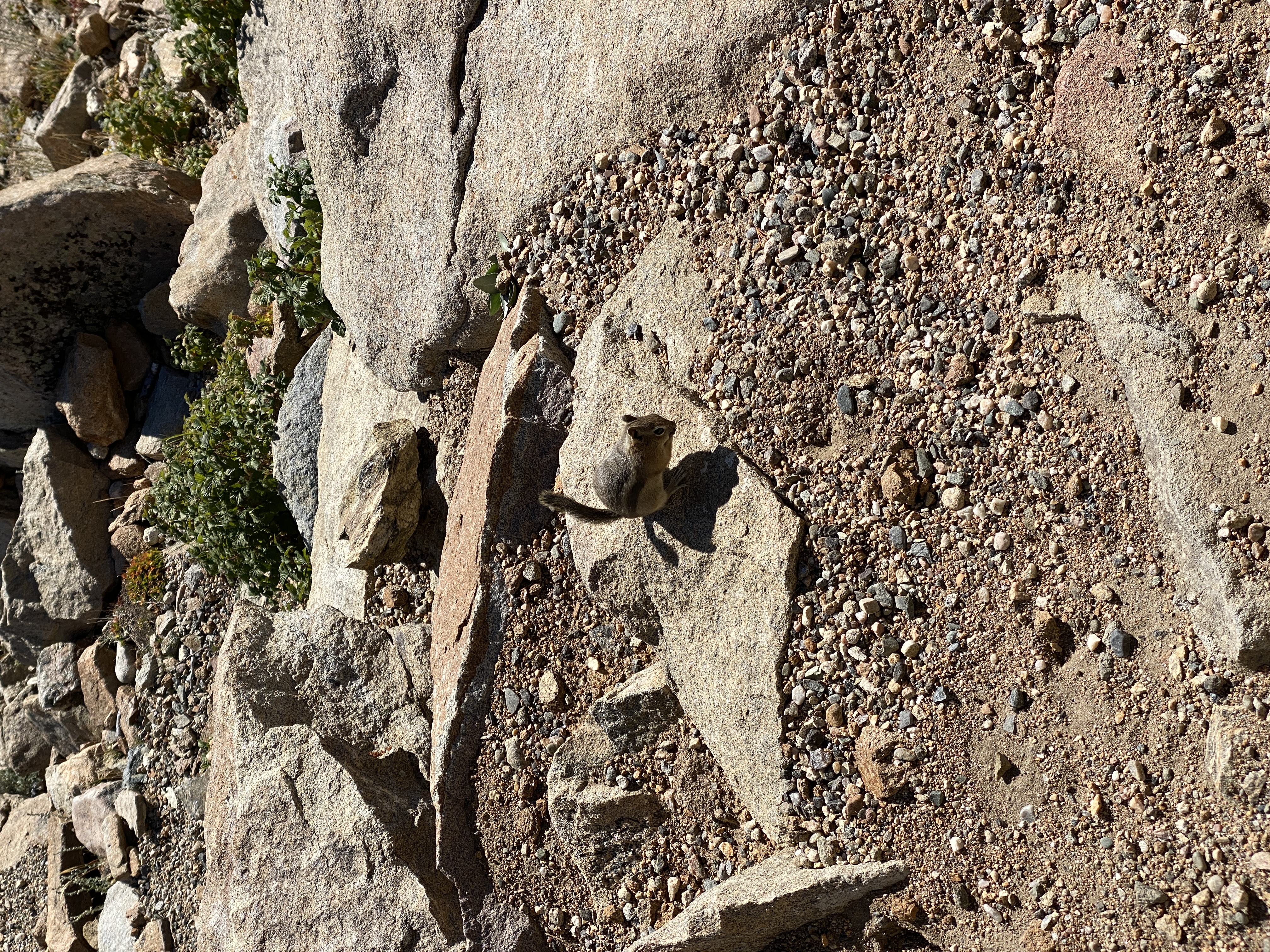 2022-09-25 09-38-26  Camera Apple 6.63 MB United States..CO..Larimer Co...Estes Park..