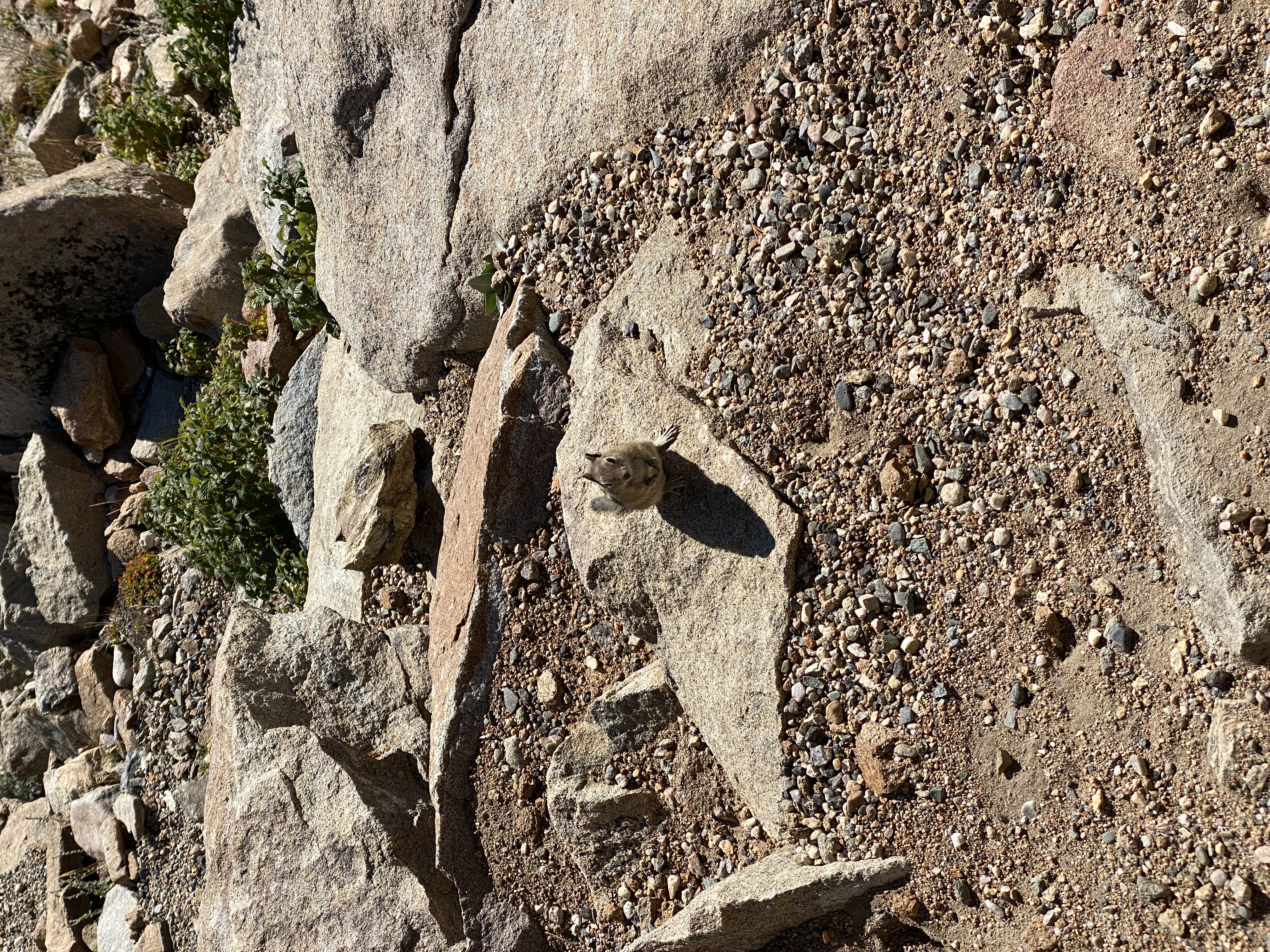 2022-09-25 09-38-27  Camera Apple 6.56 MB United States..CO..Larimer Co...Estes Park..