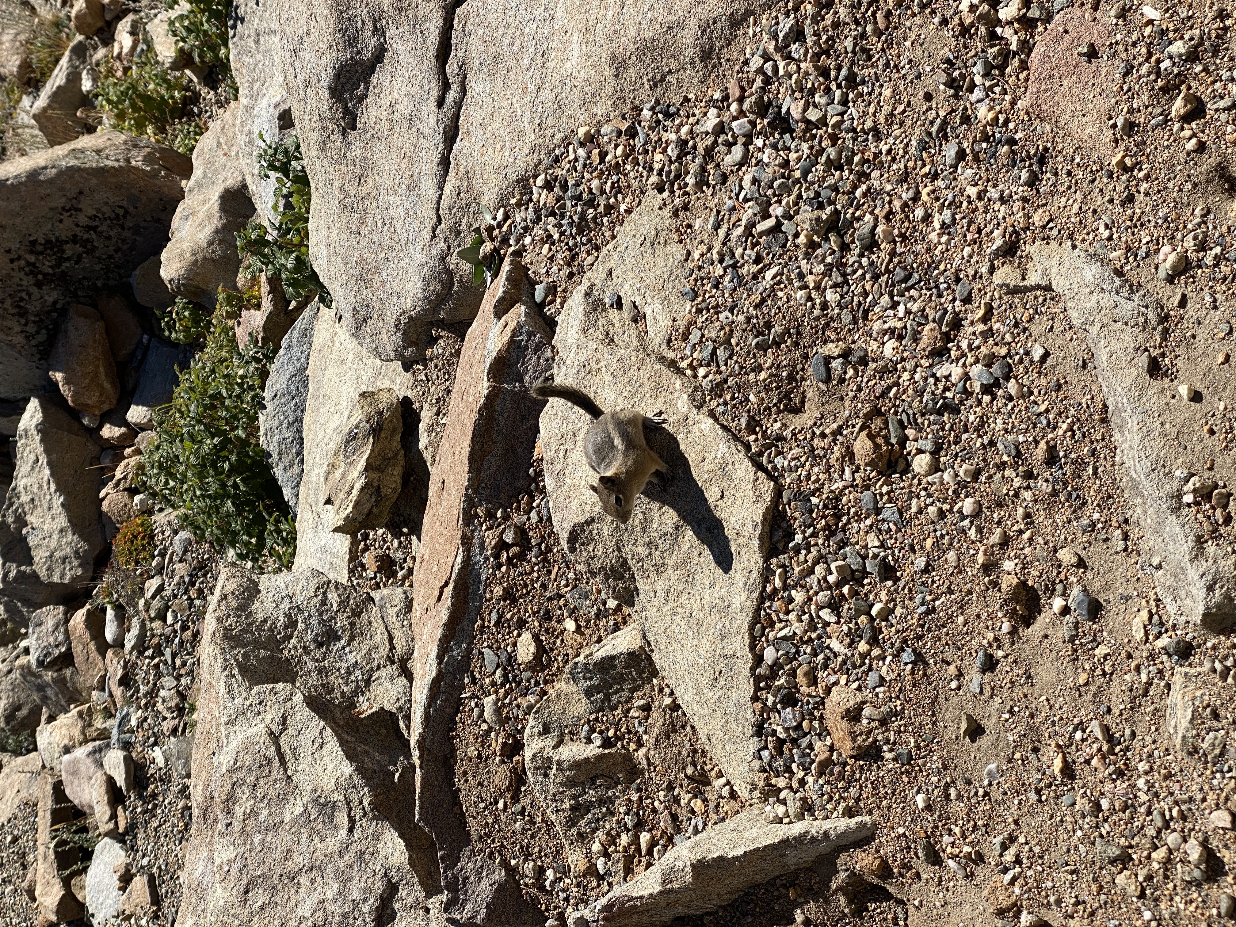 2022-09-25 09-38-30  Camera Apple 6.57 MB United States..CO..Larimer Co...Estes Park..