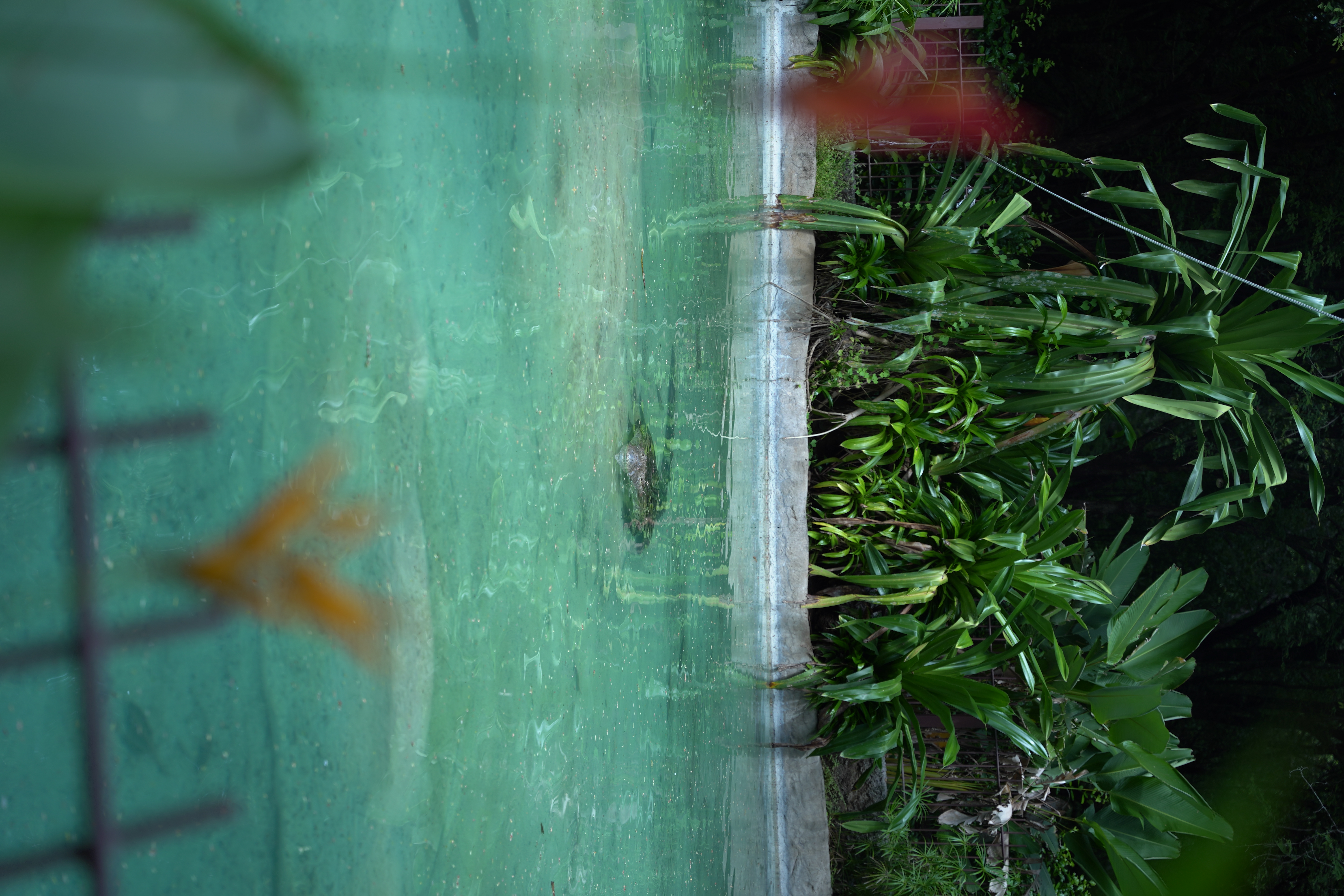 DSC06609