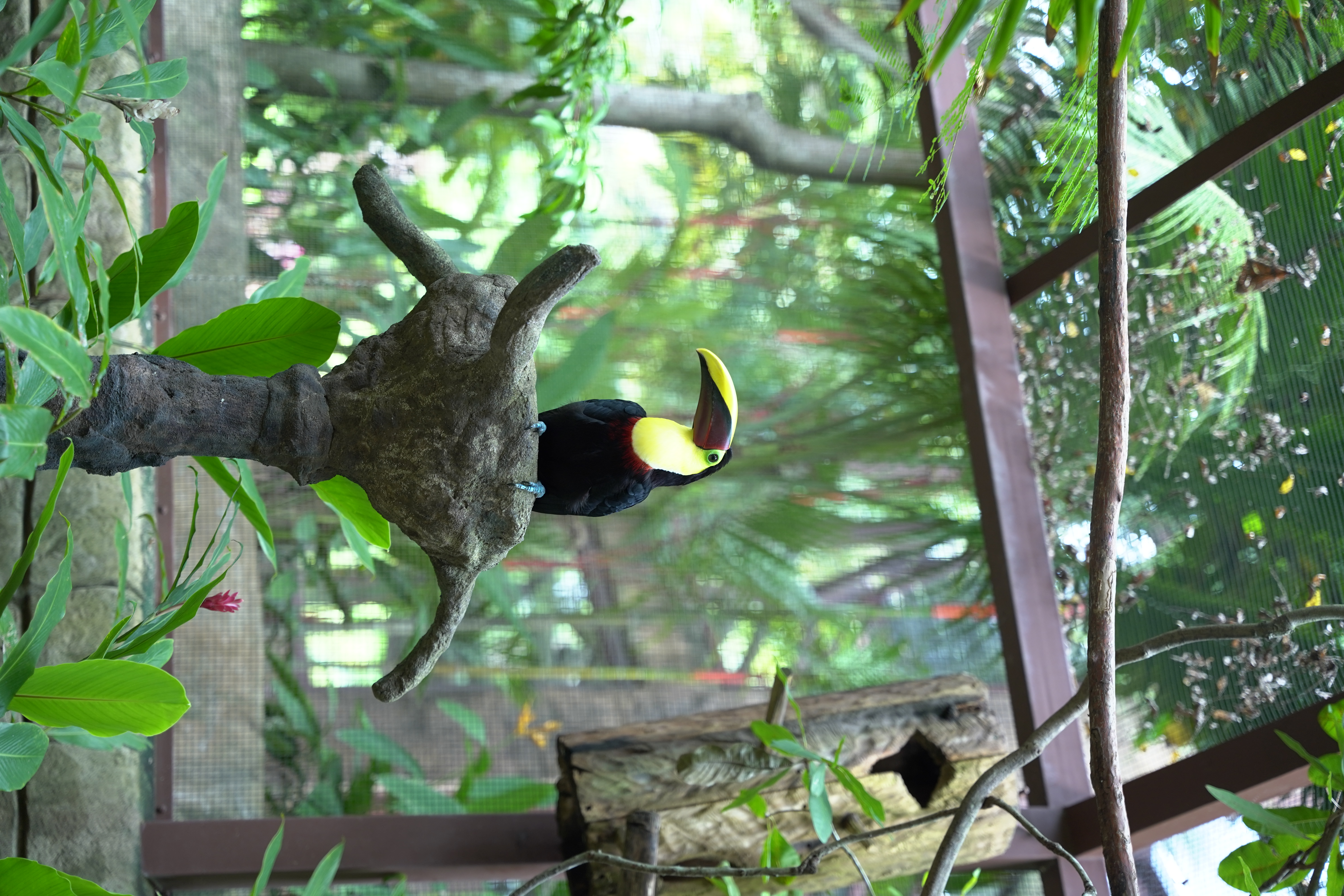 DSC06634