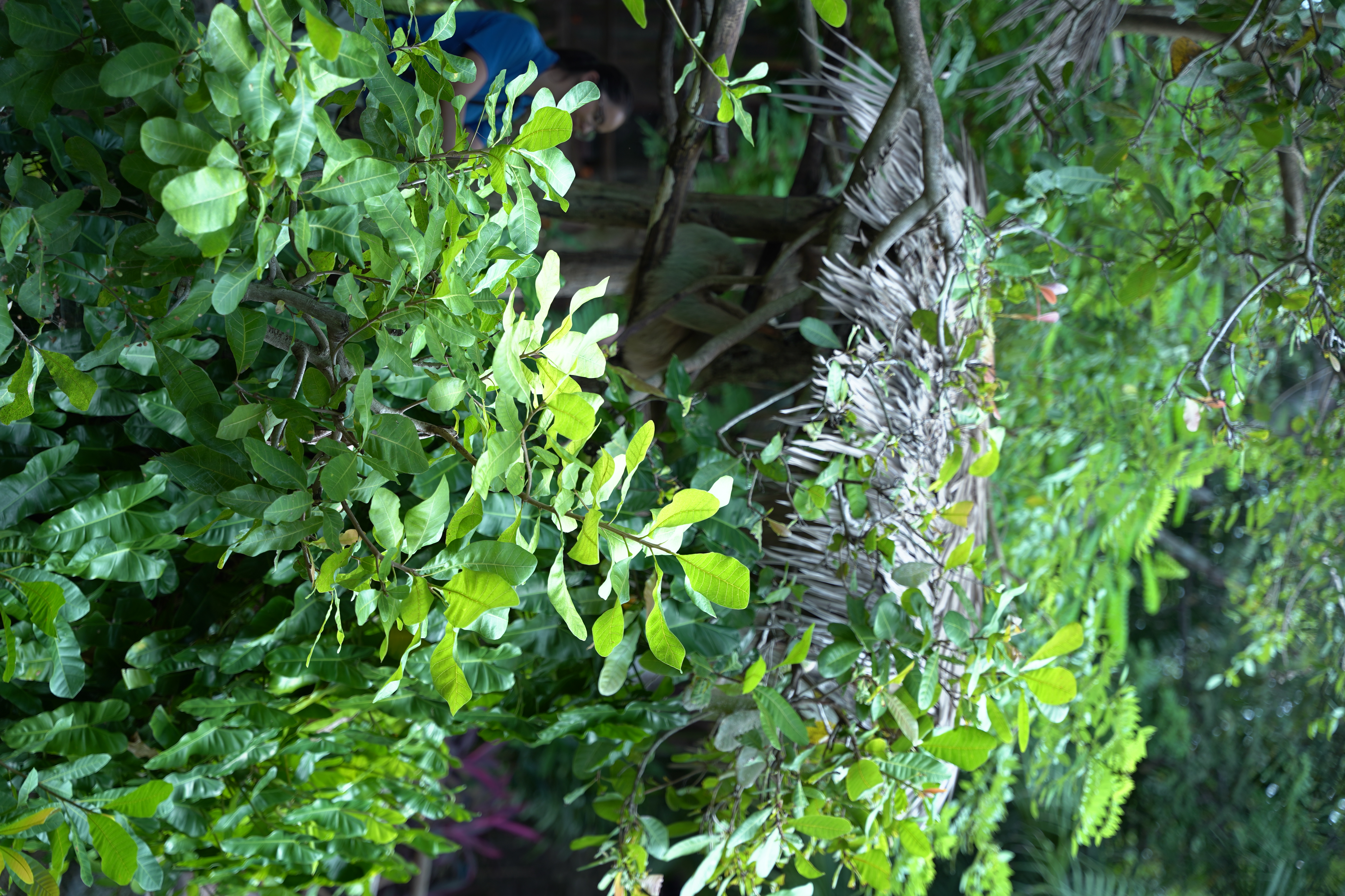 DSC06680