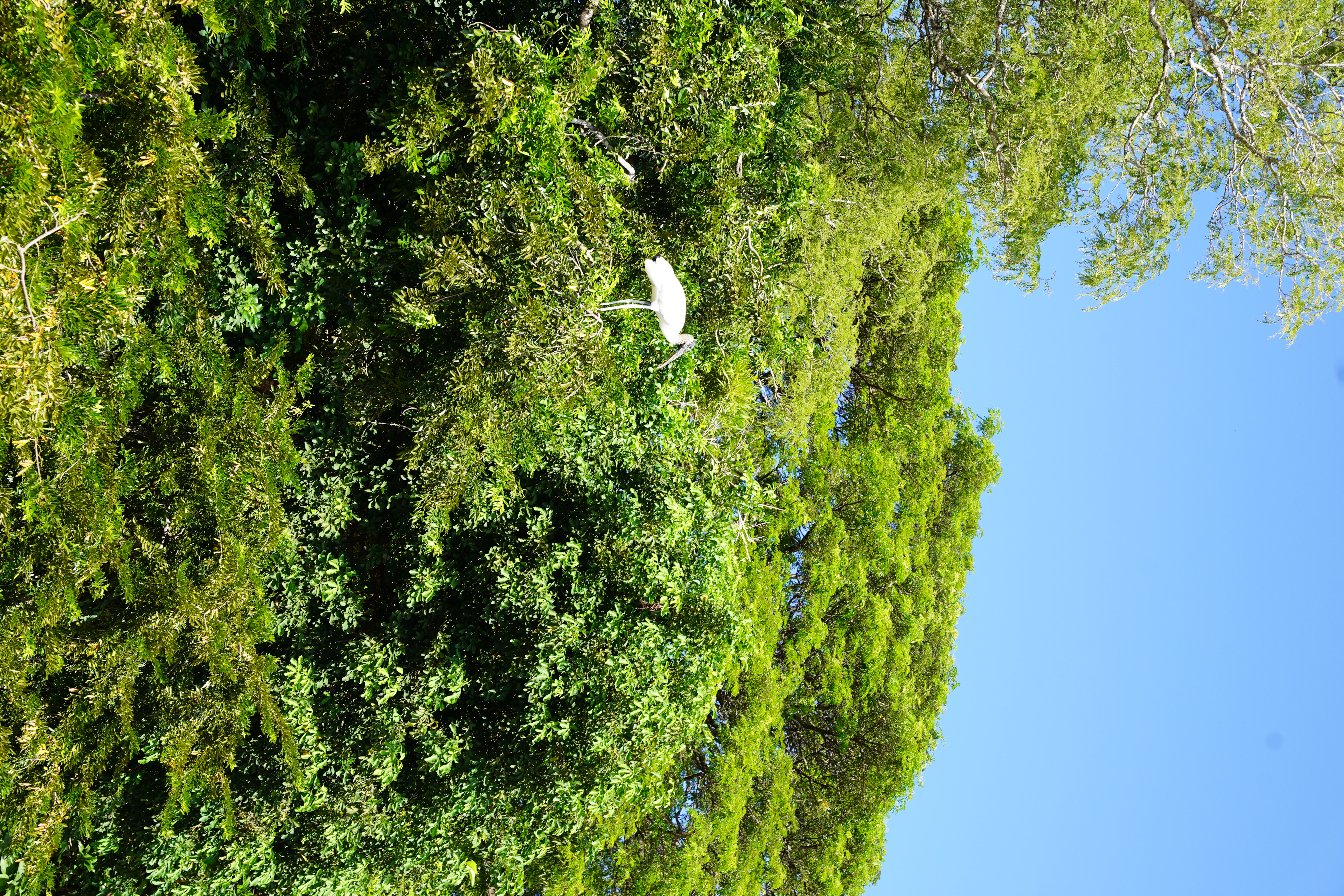 DSC06740