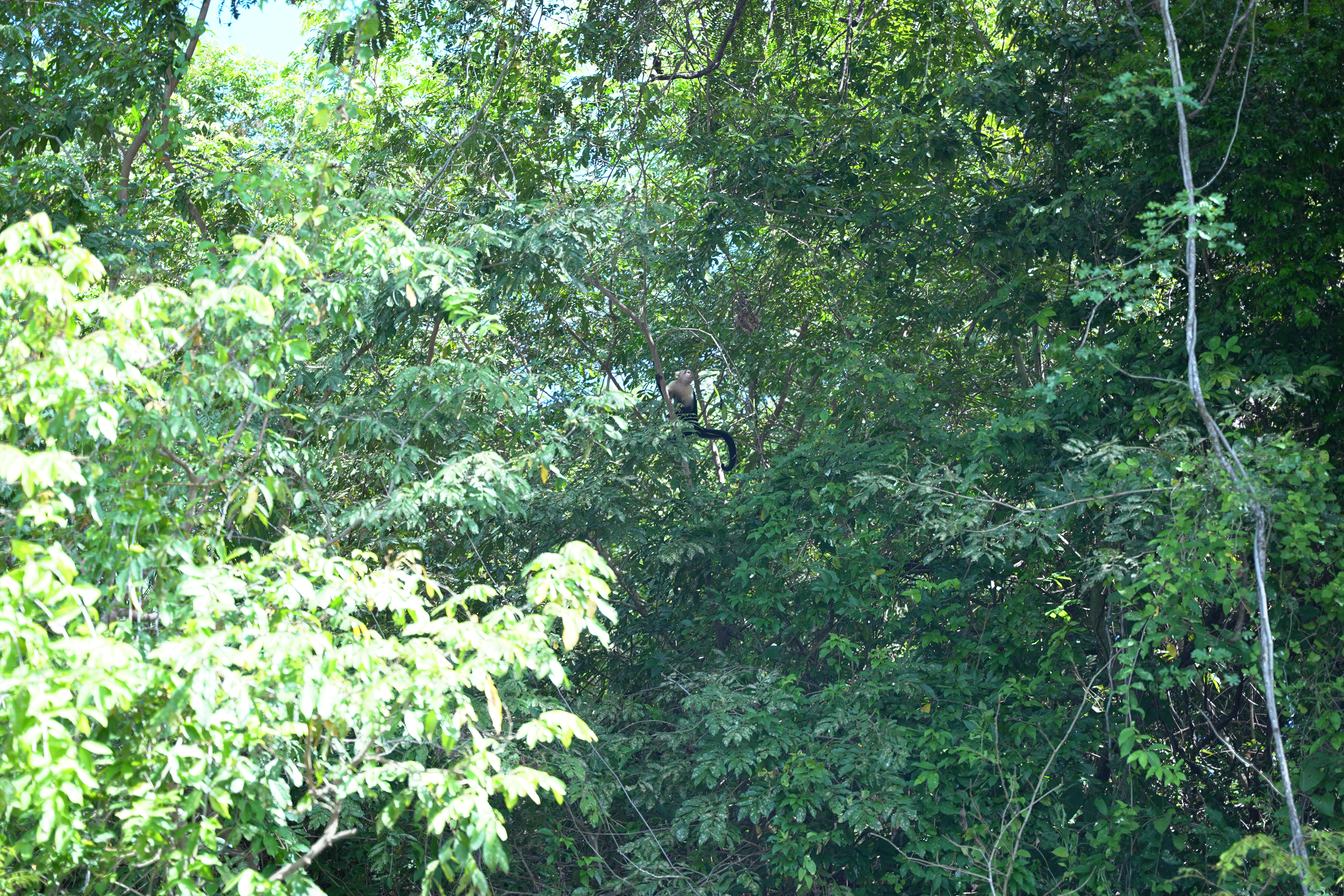DSC06849