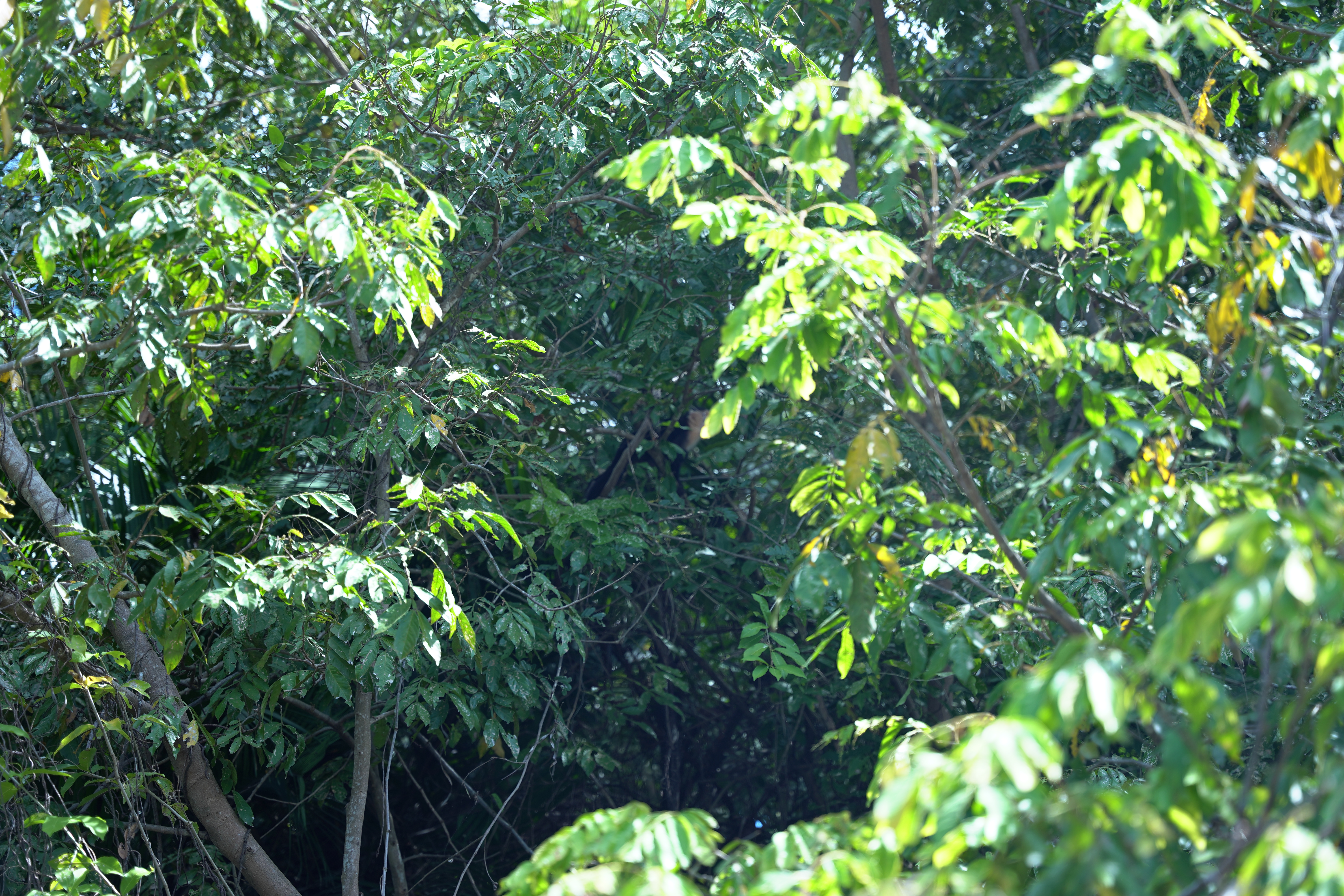DSC06855