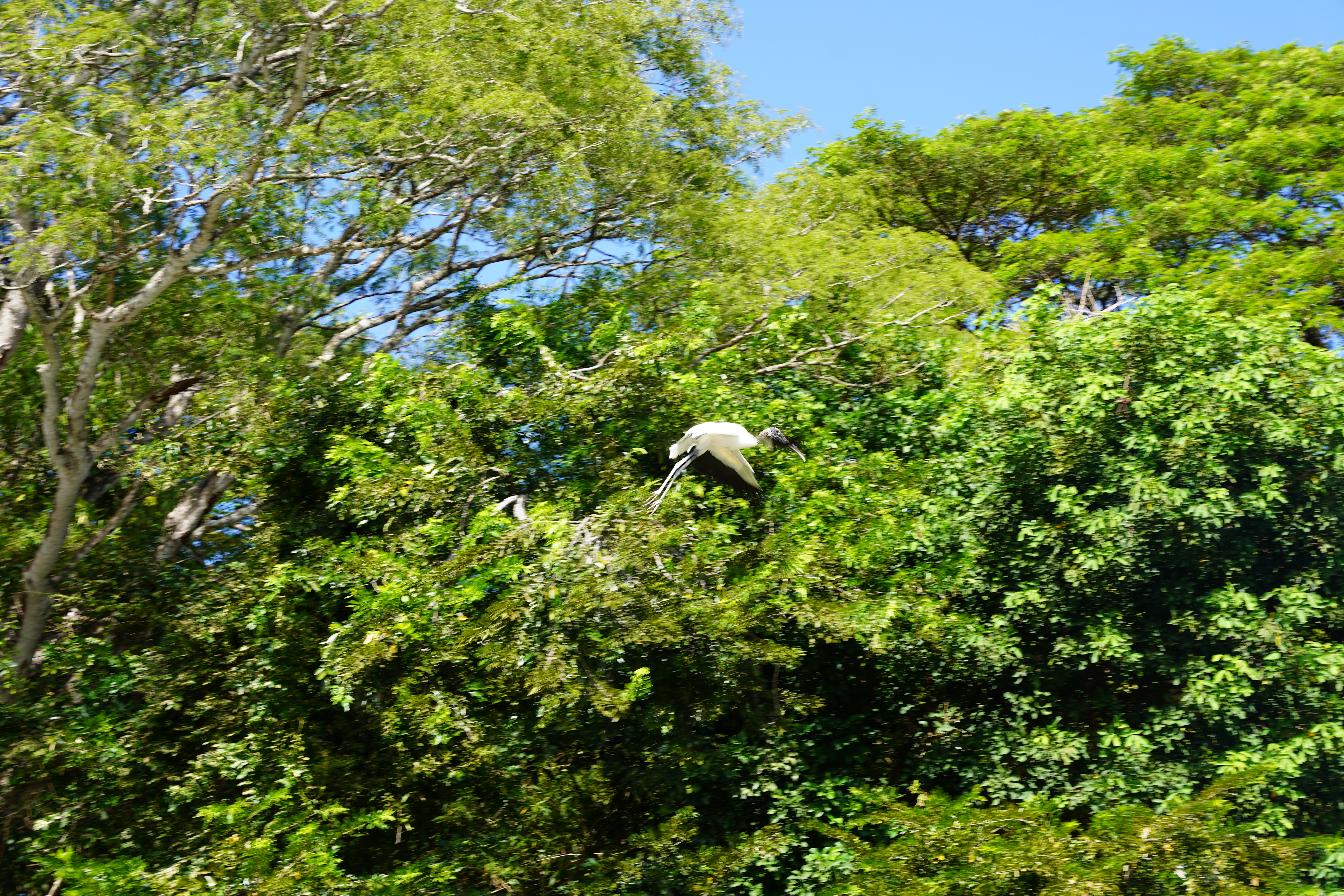 DSC06741