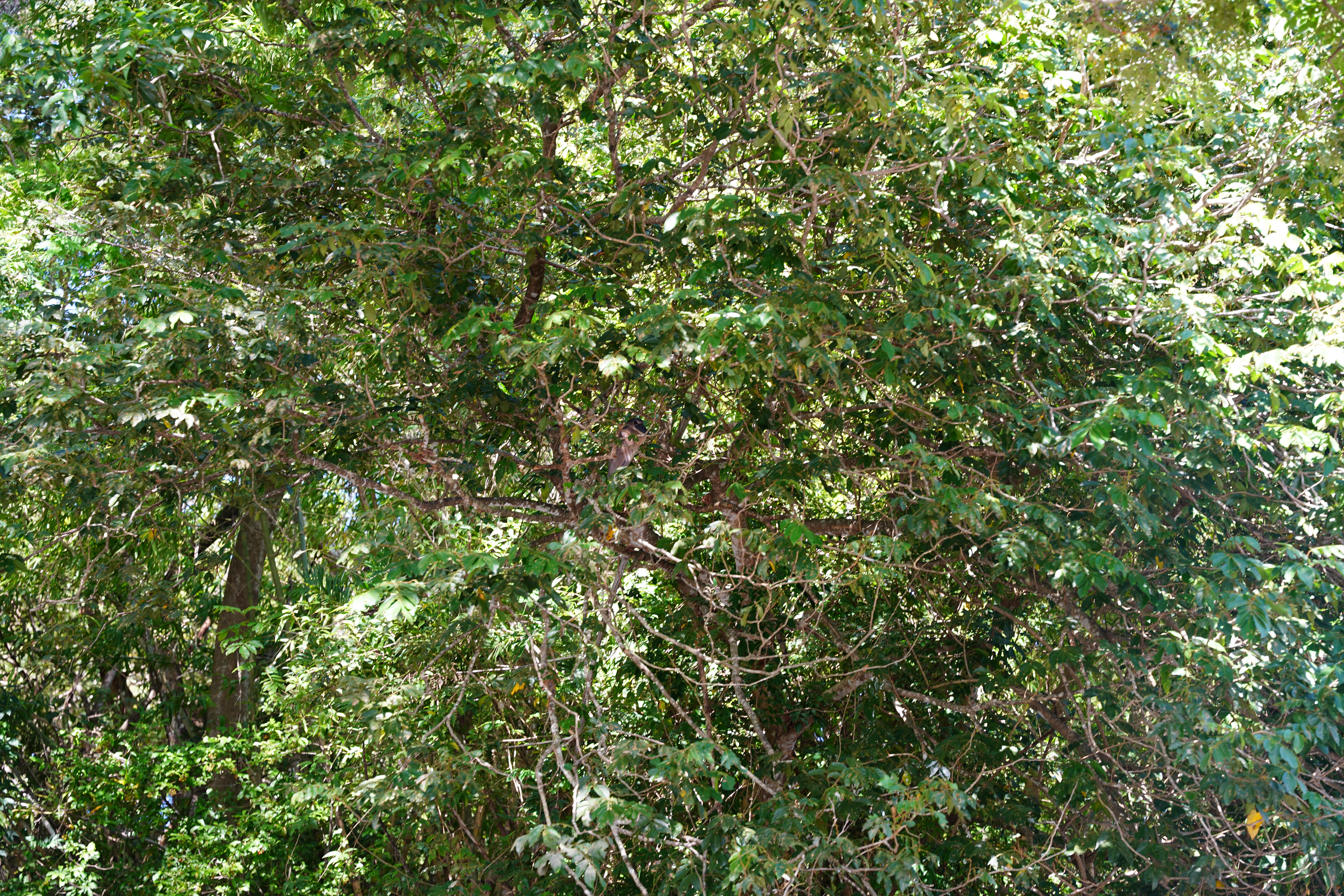 DSC06760