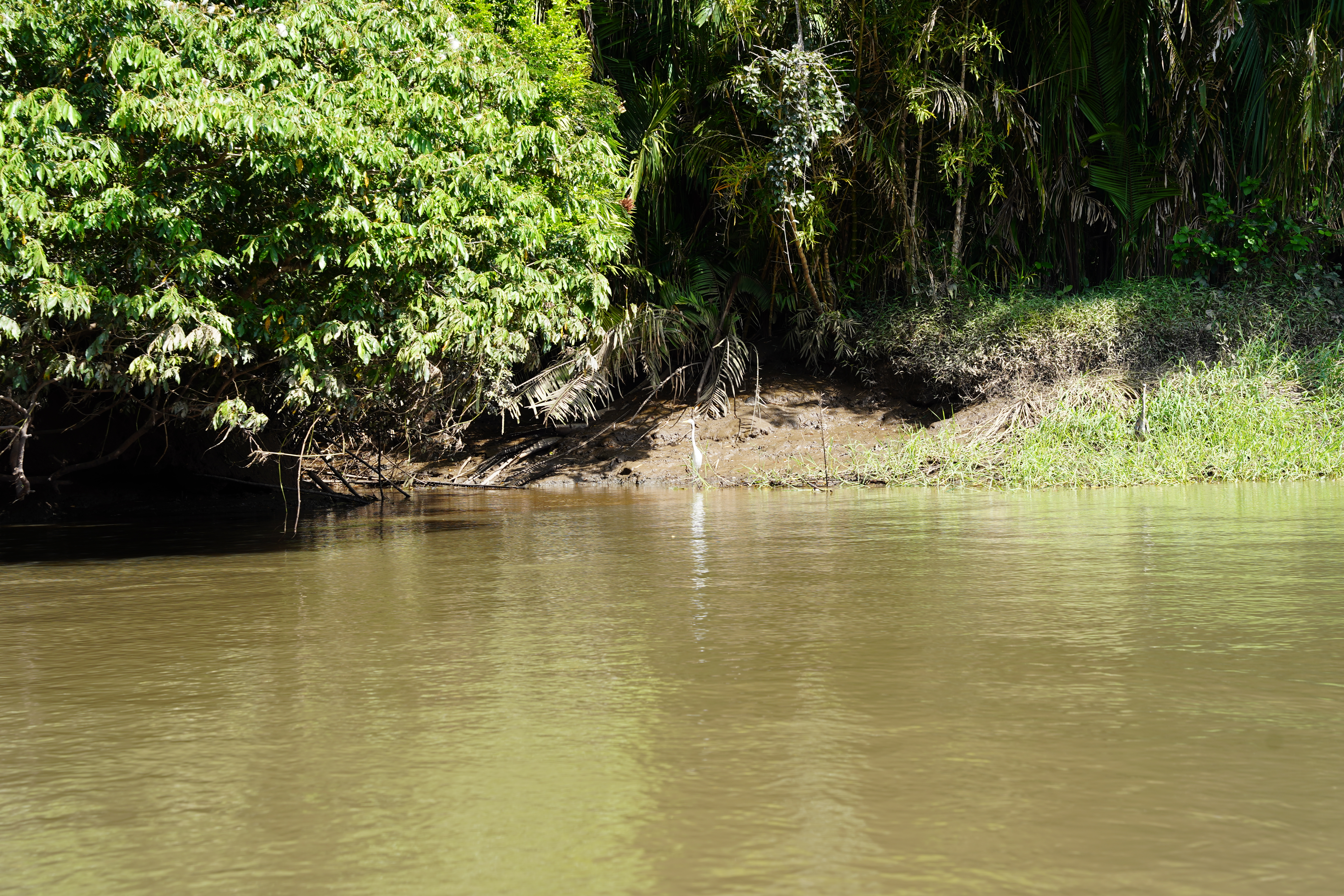 DSC06804