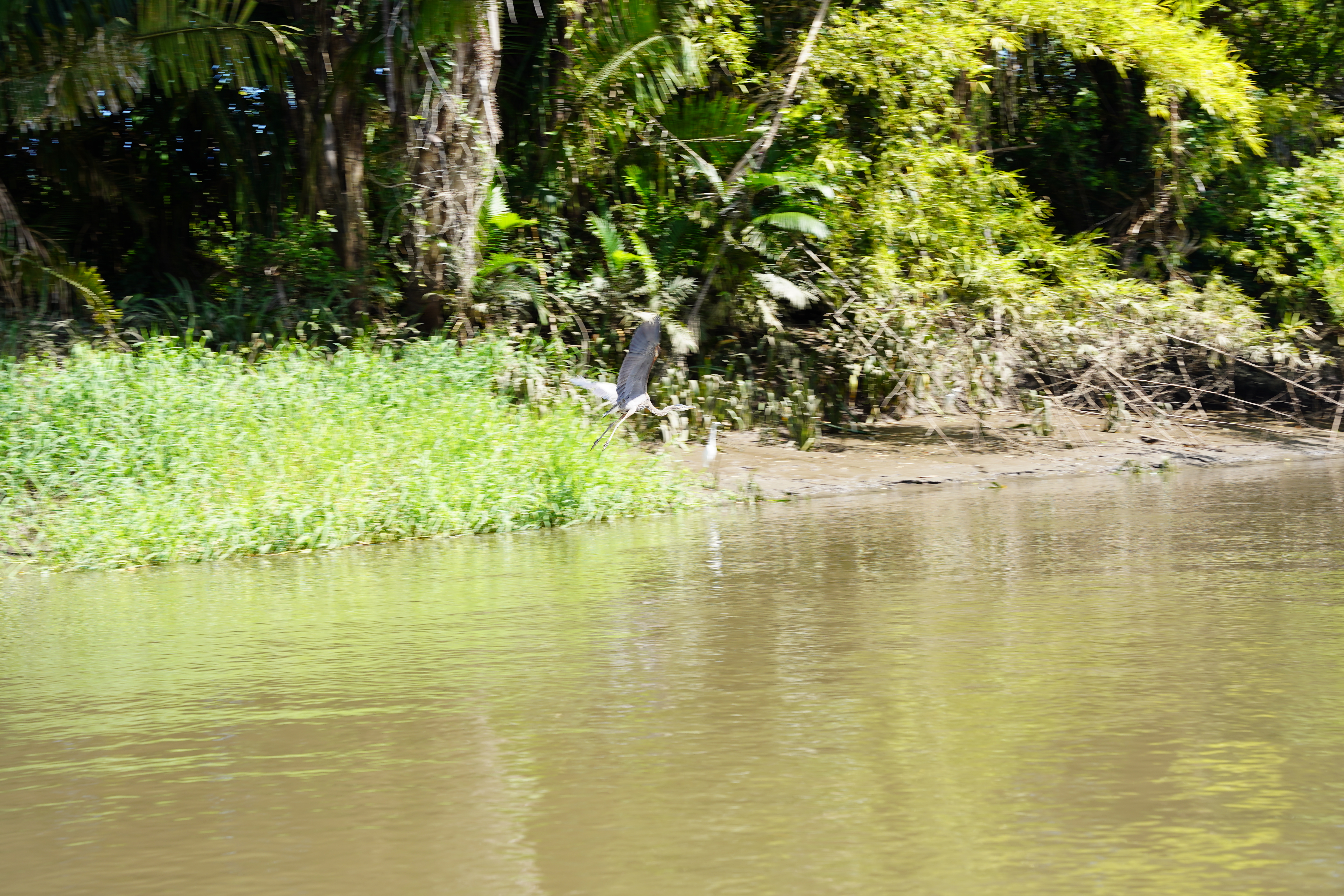 DSC06806