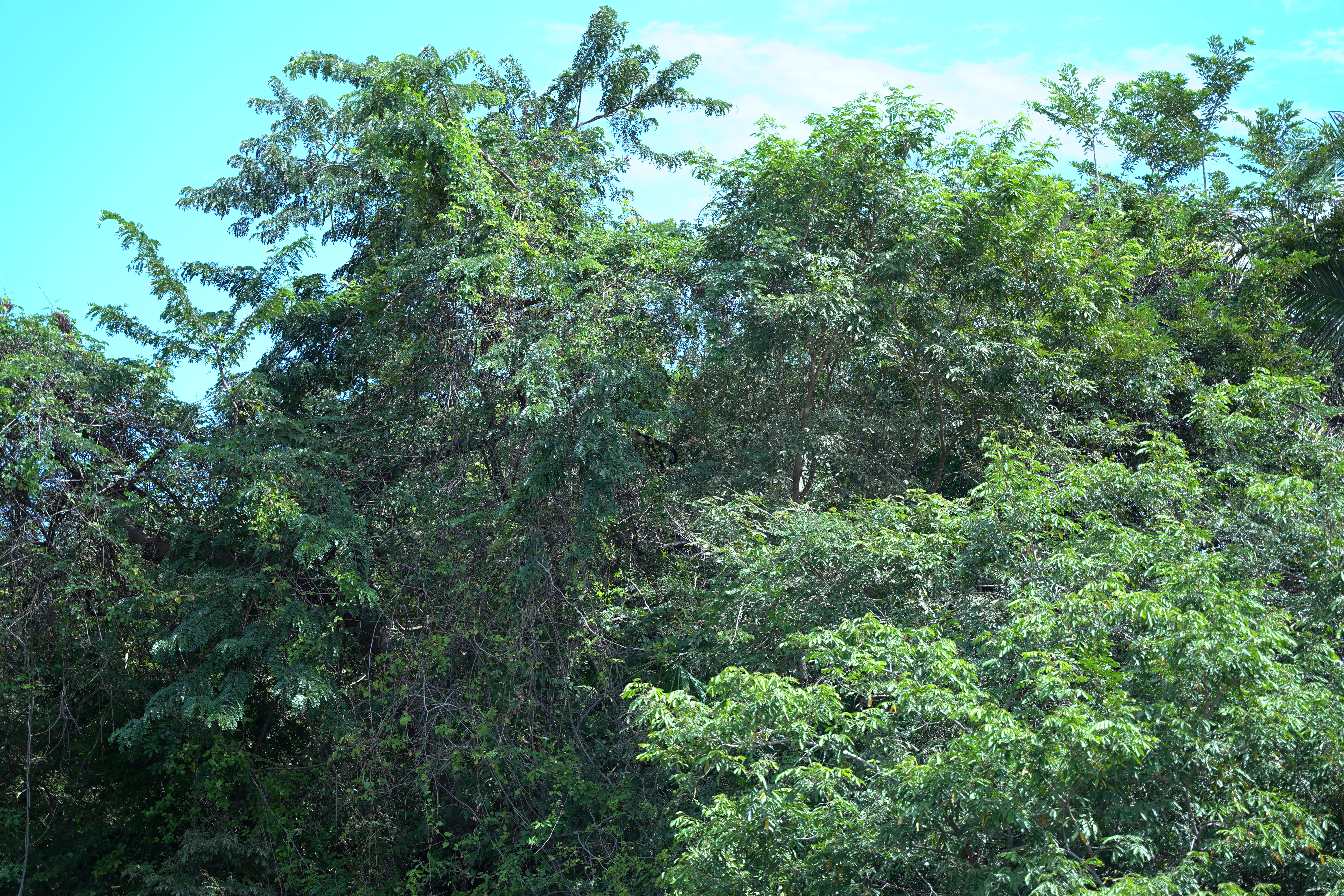 DSC06843