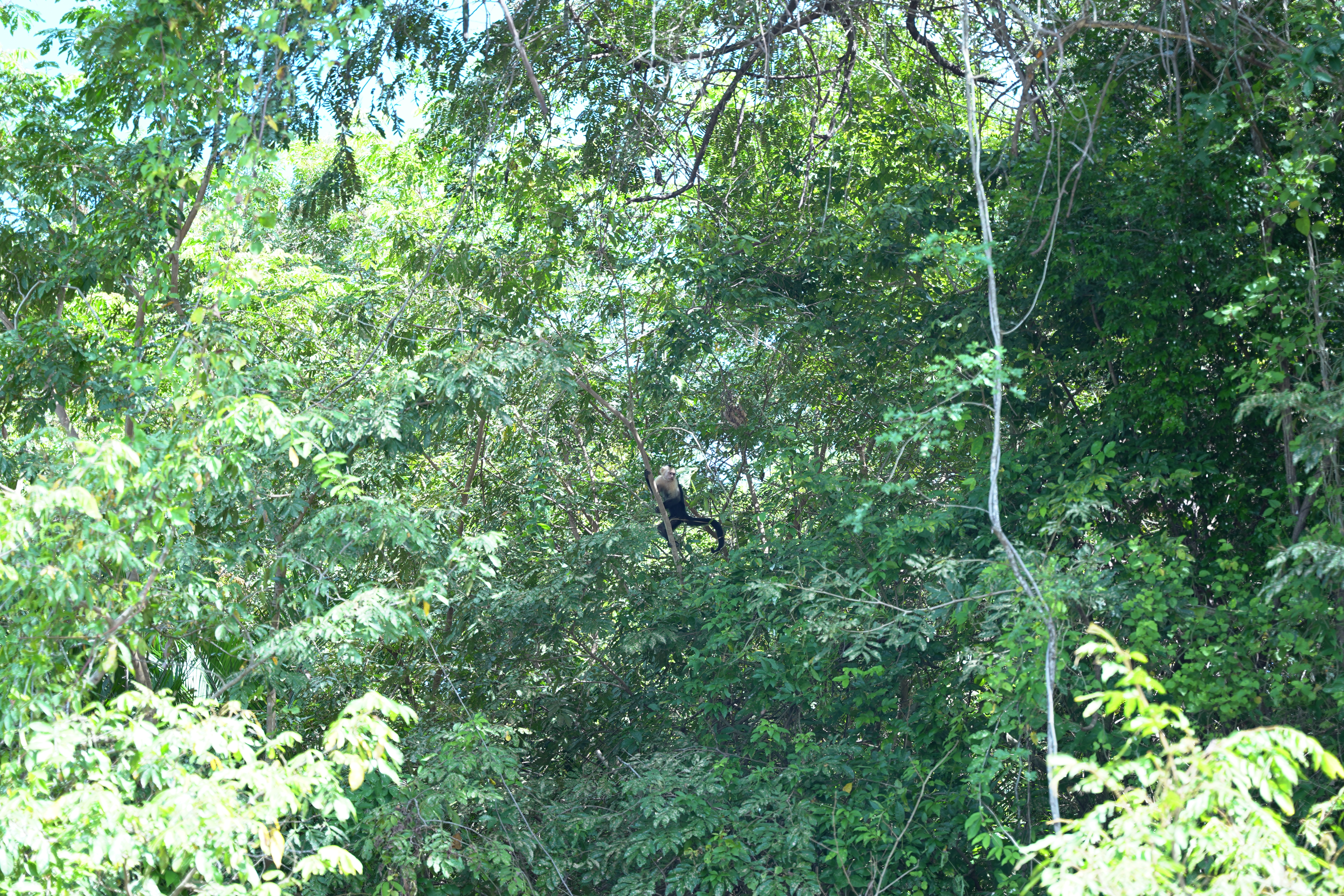 DSC06847