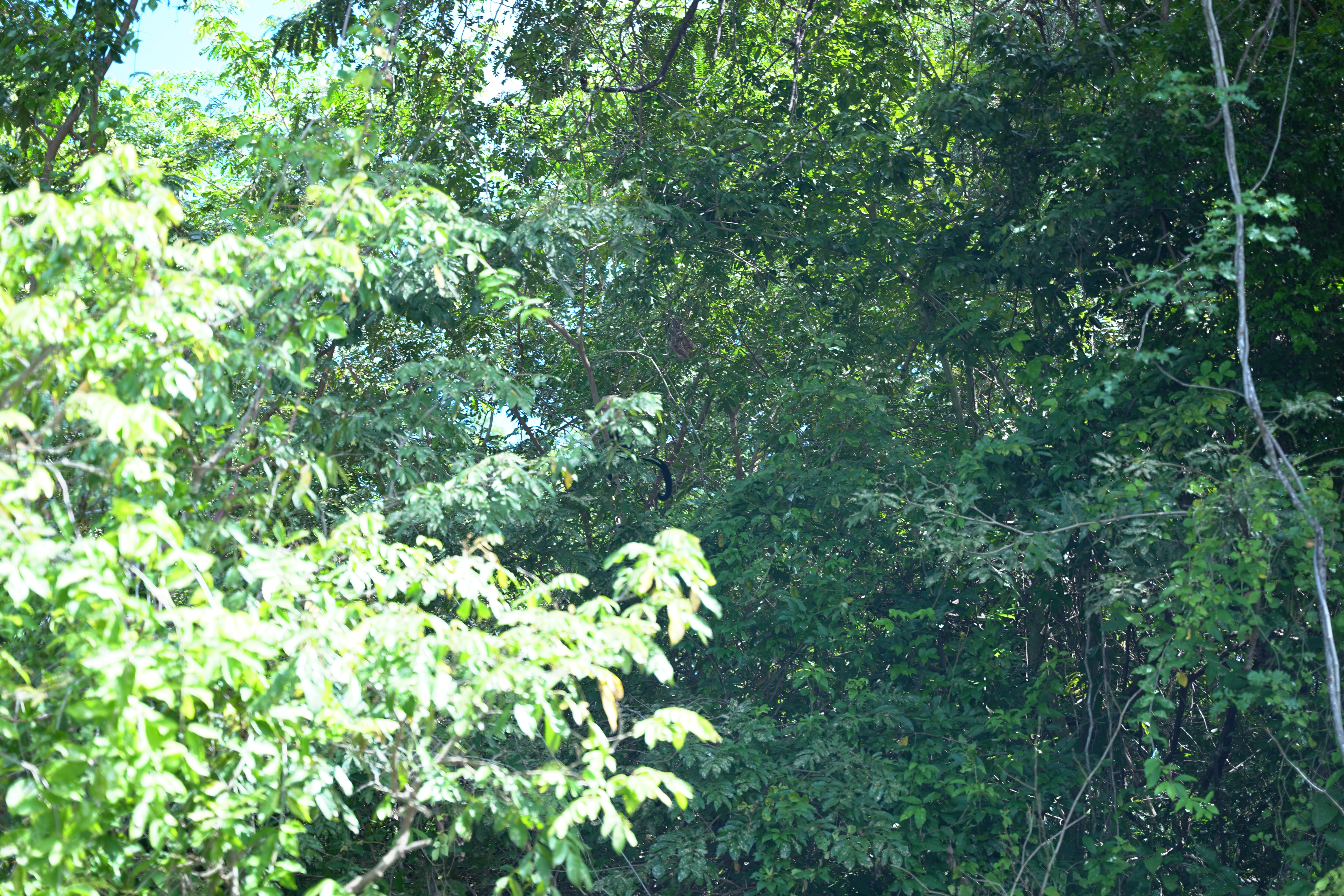 DSC06850