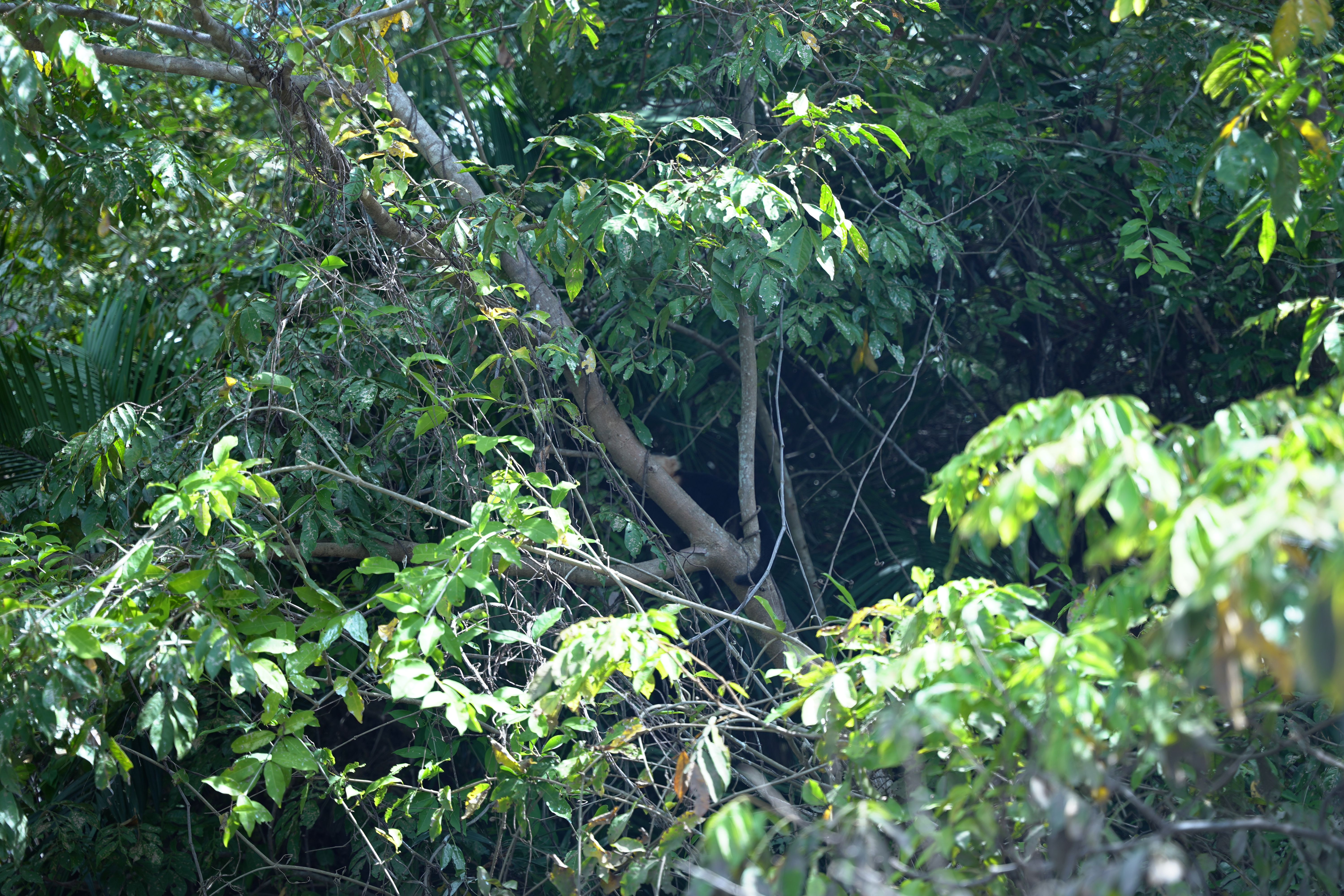 DSC06851