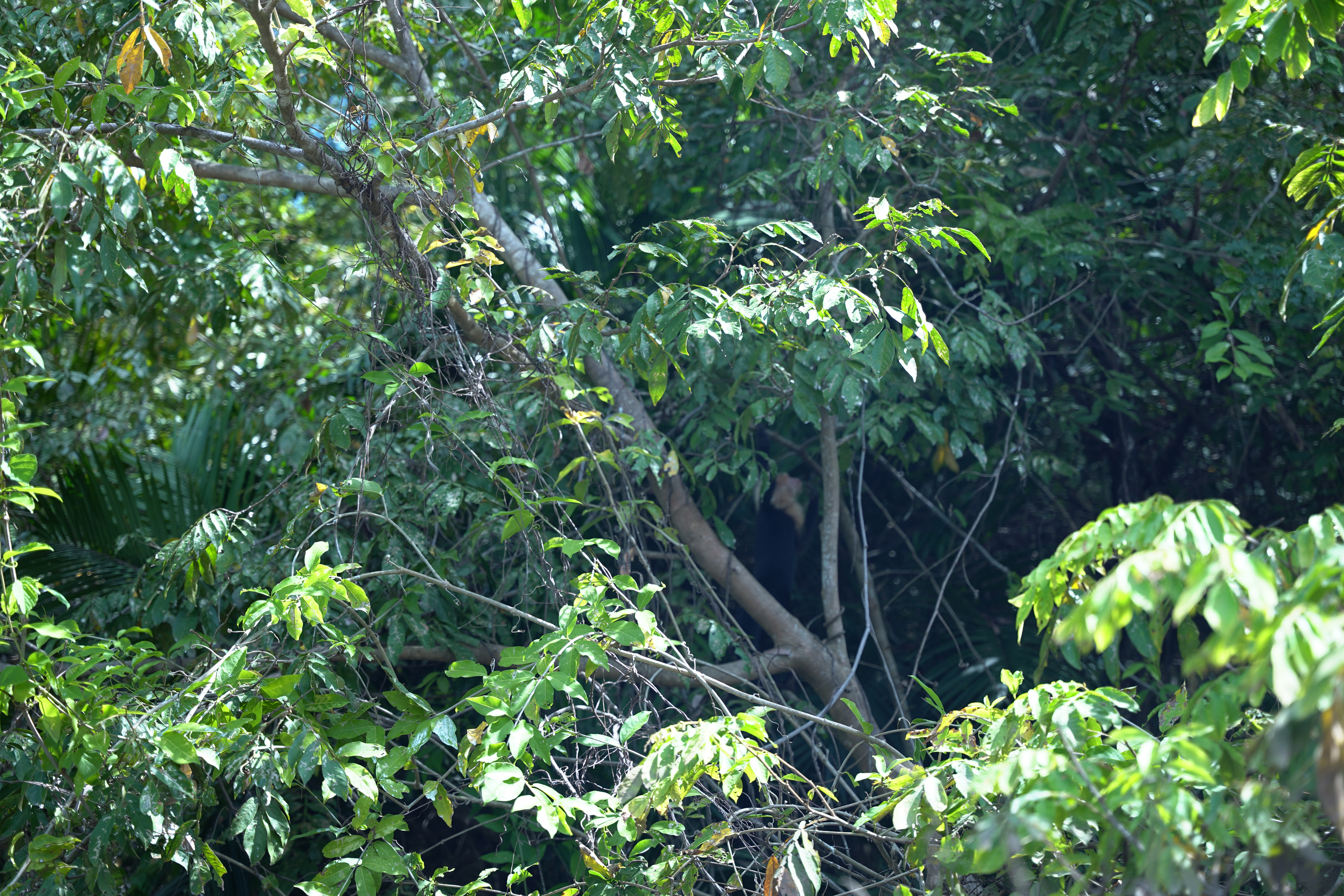 DSC06852