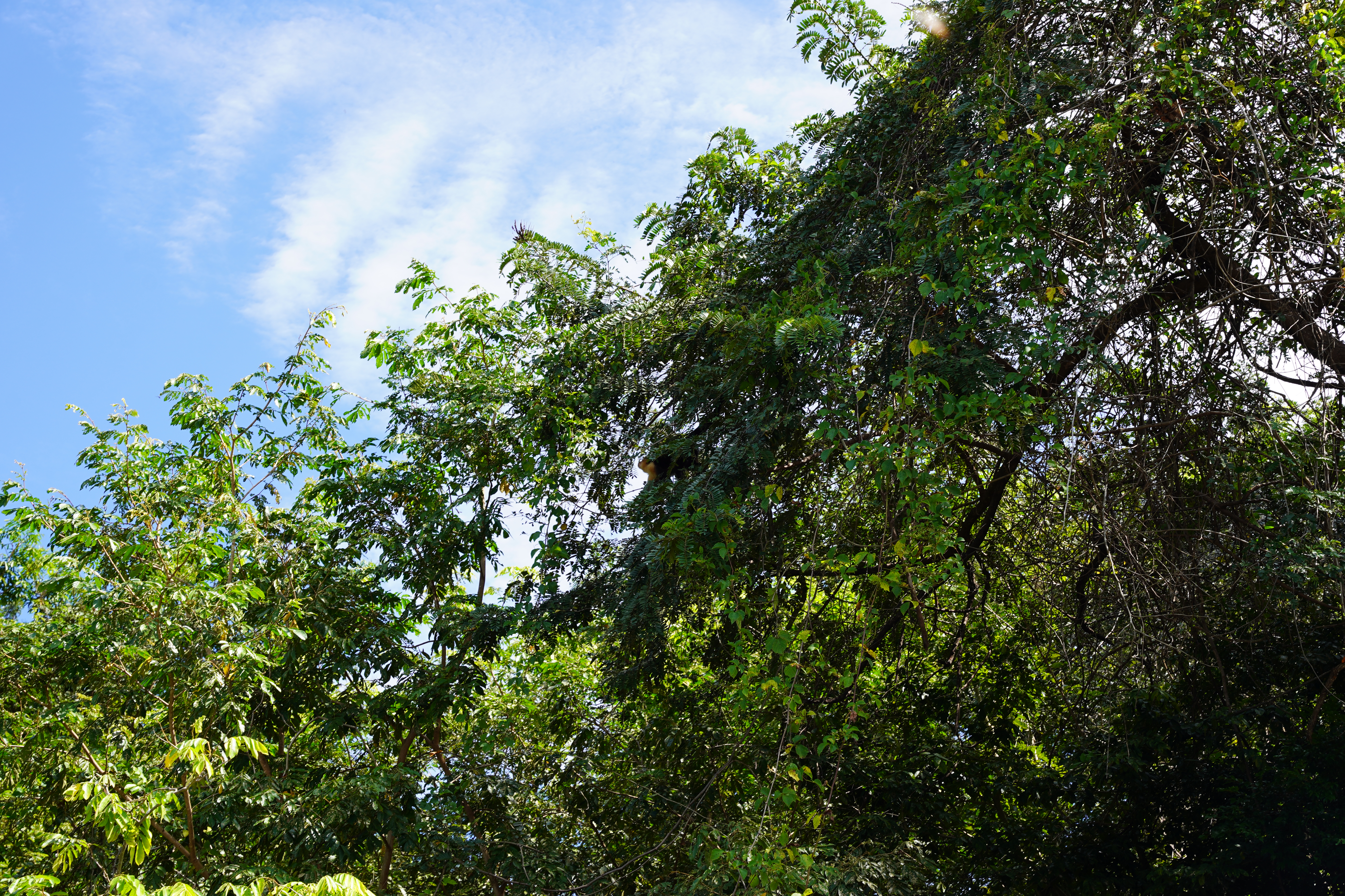 DSC06860