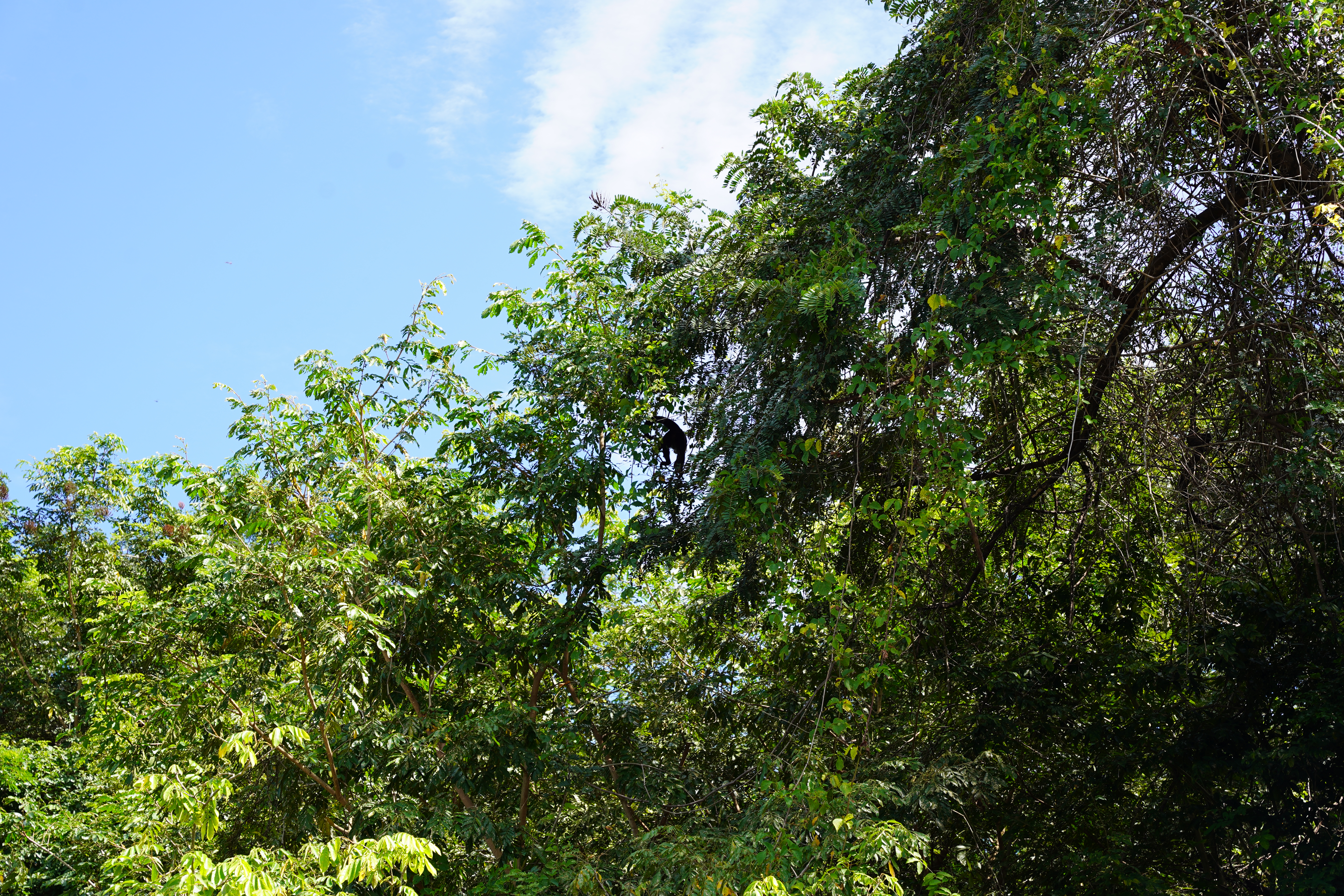 DSC06862