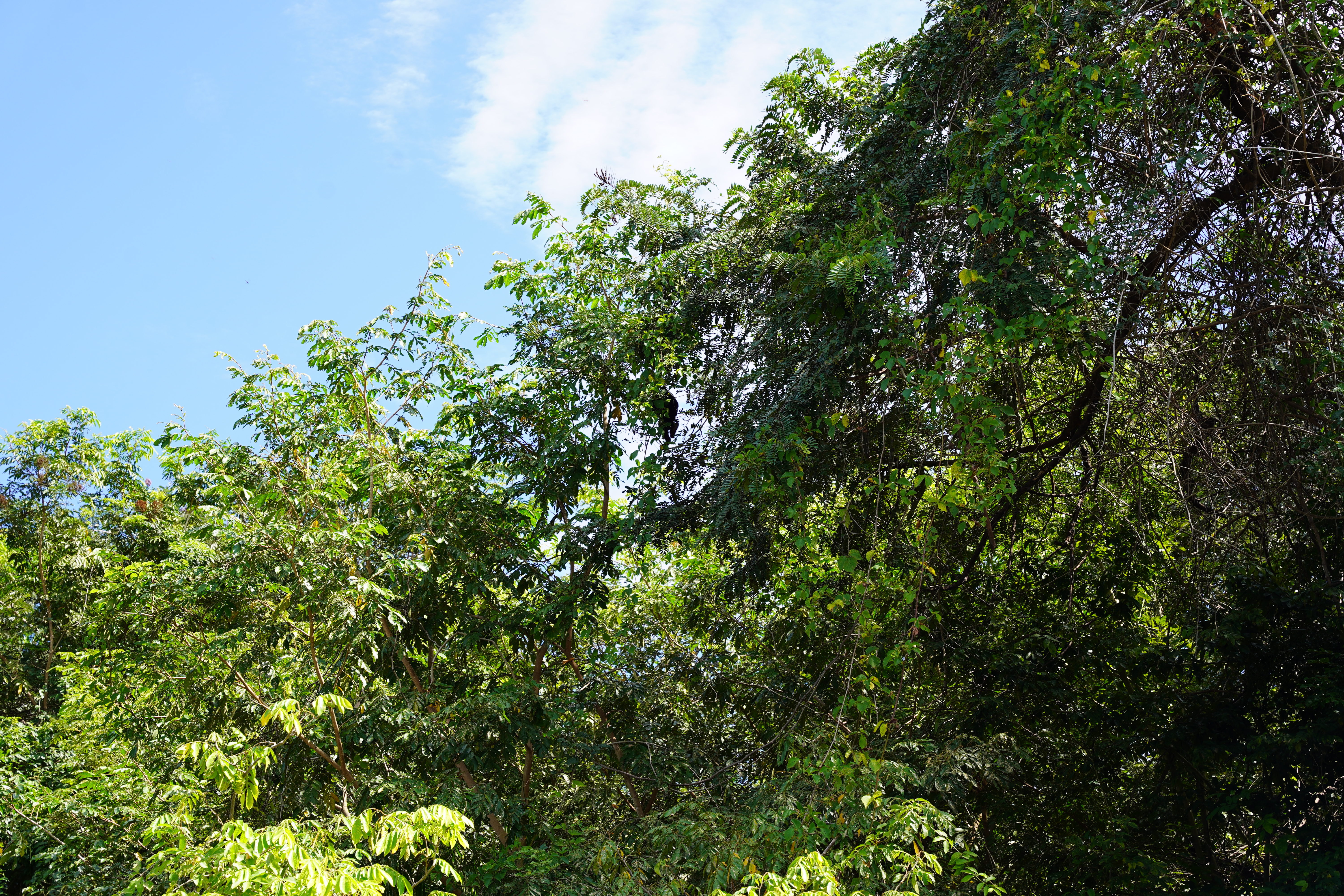 DSC06863