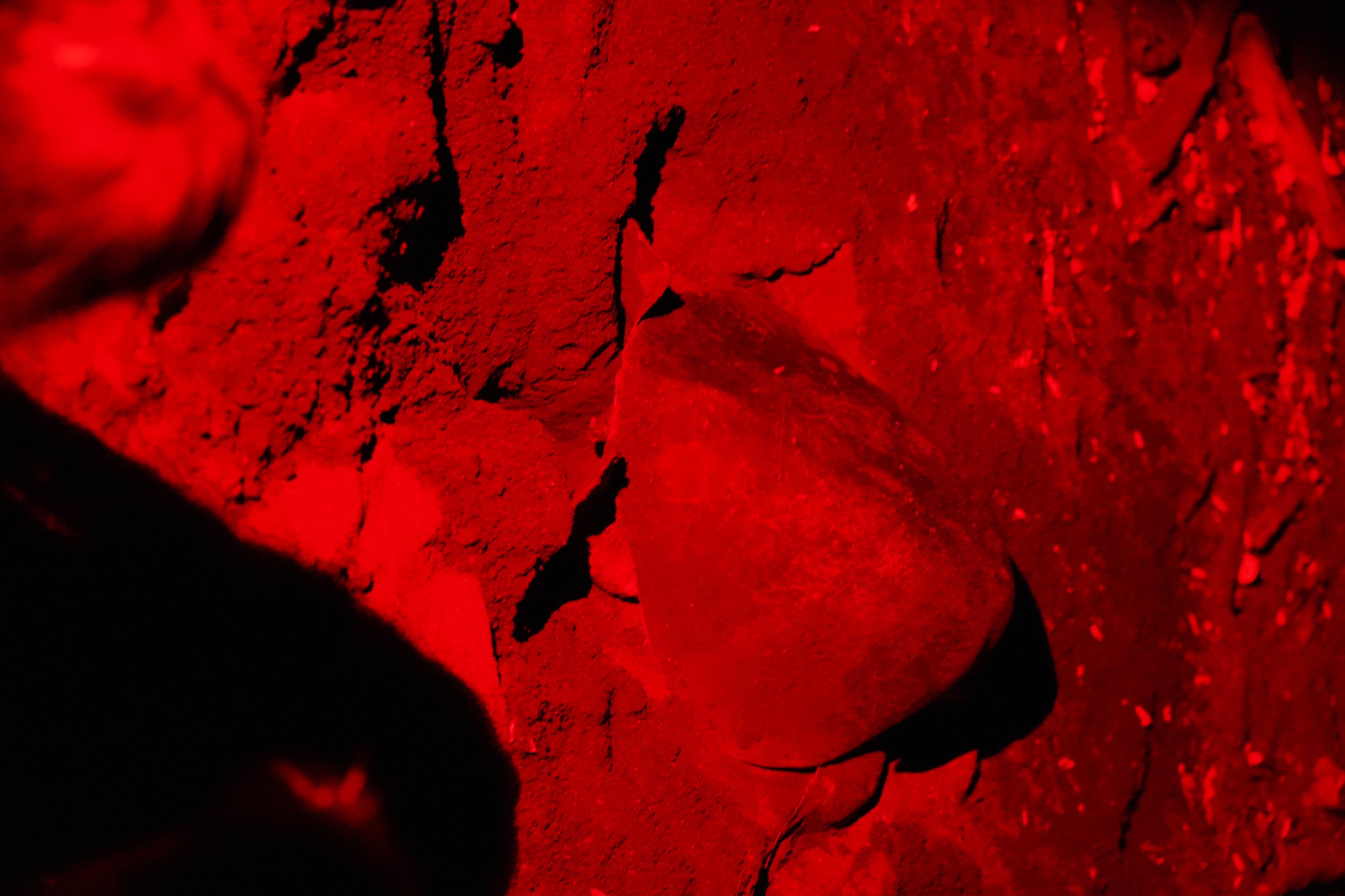 DSC06933