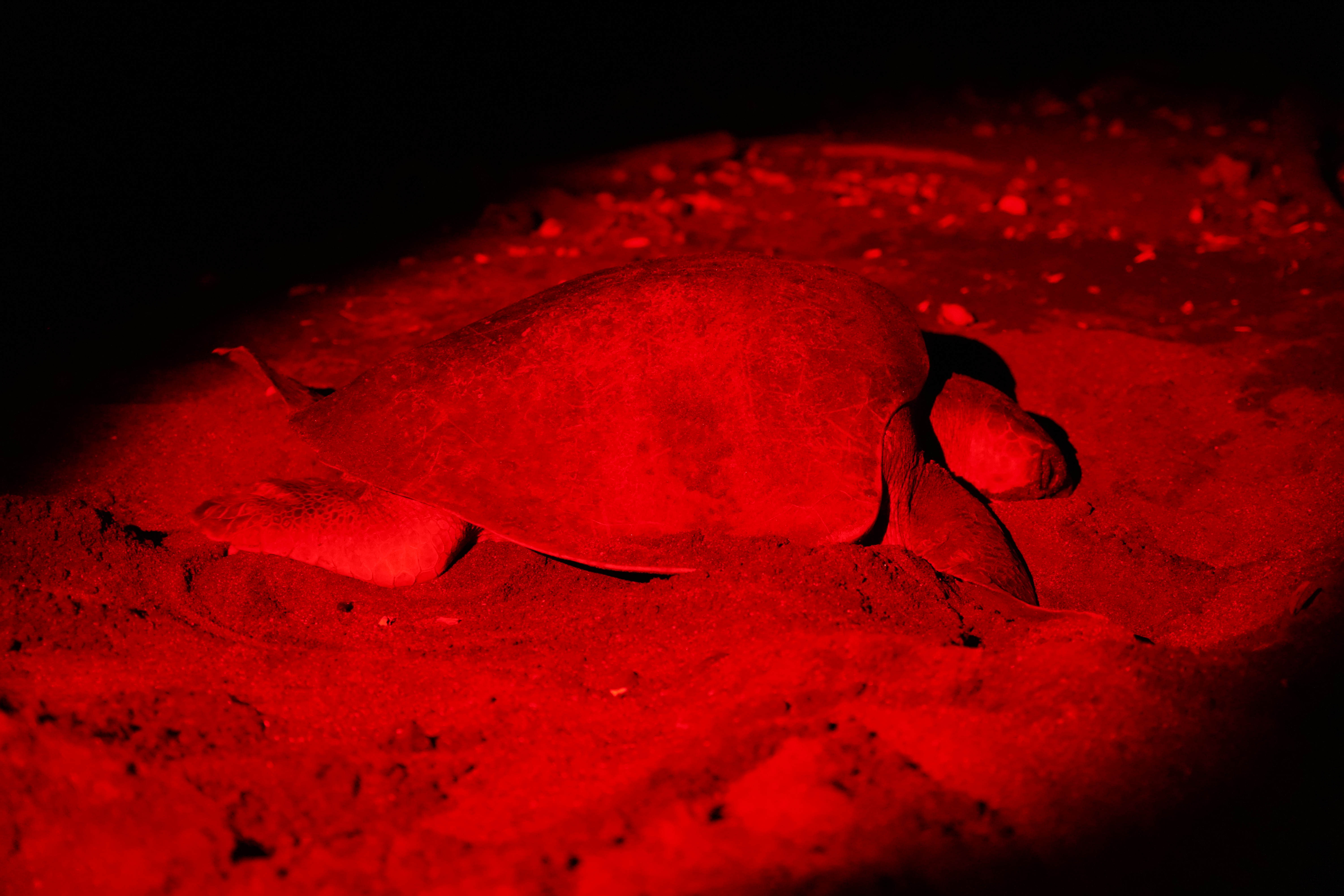 DSC06941