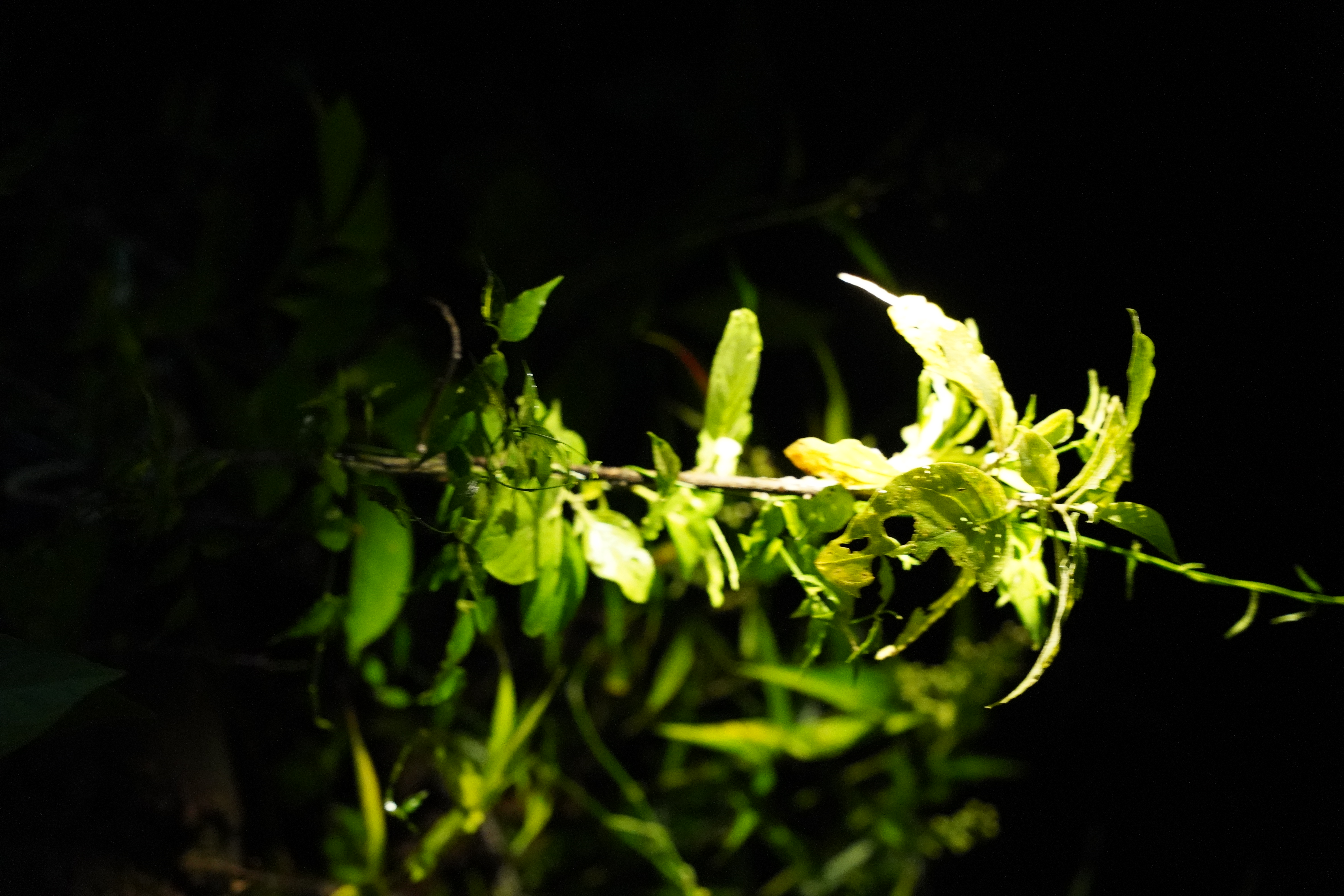 DSC06949