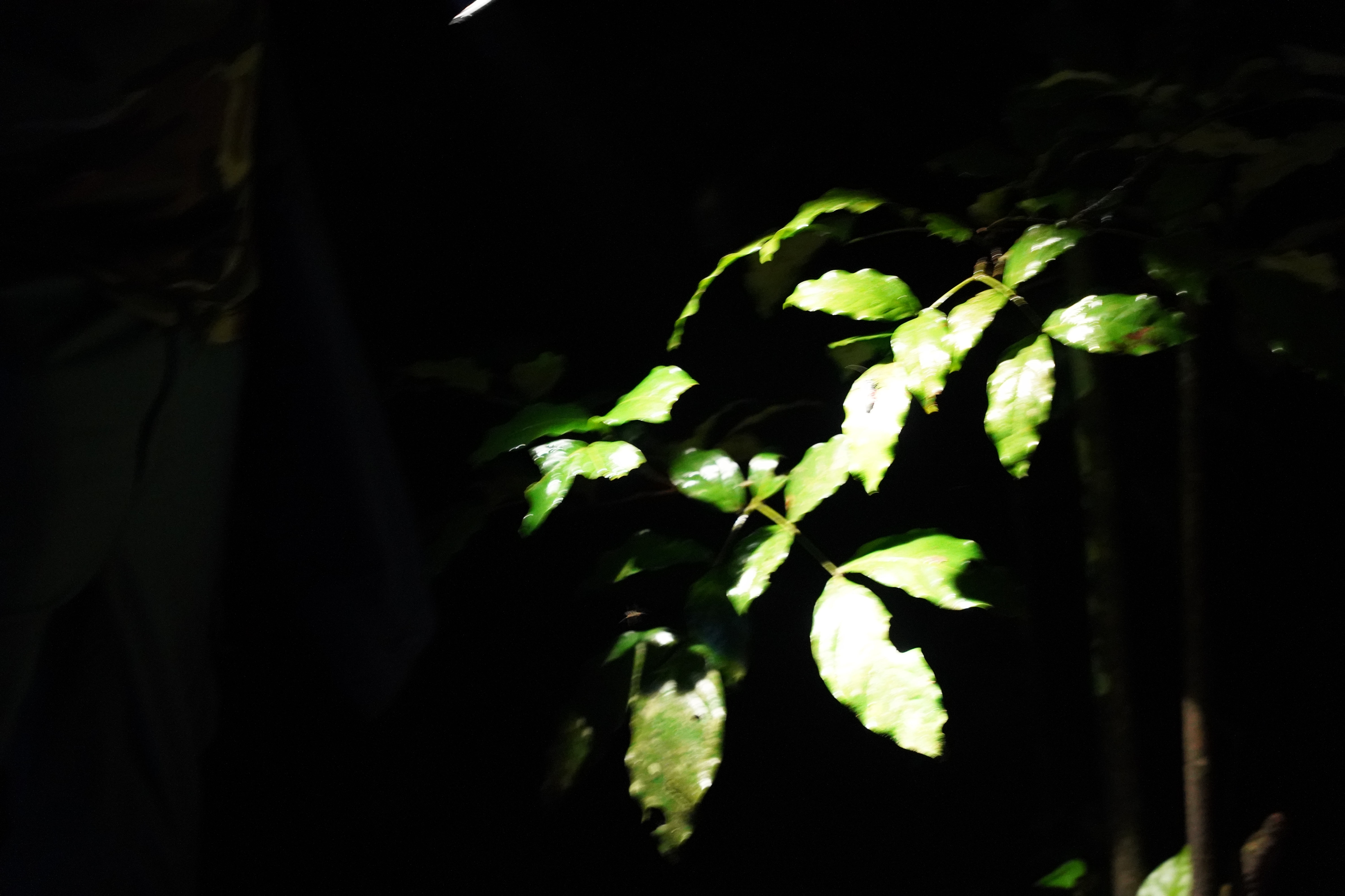 DSC06954