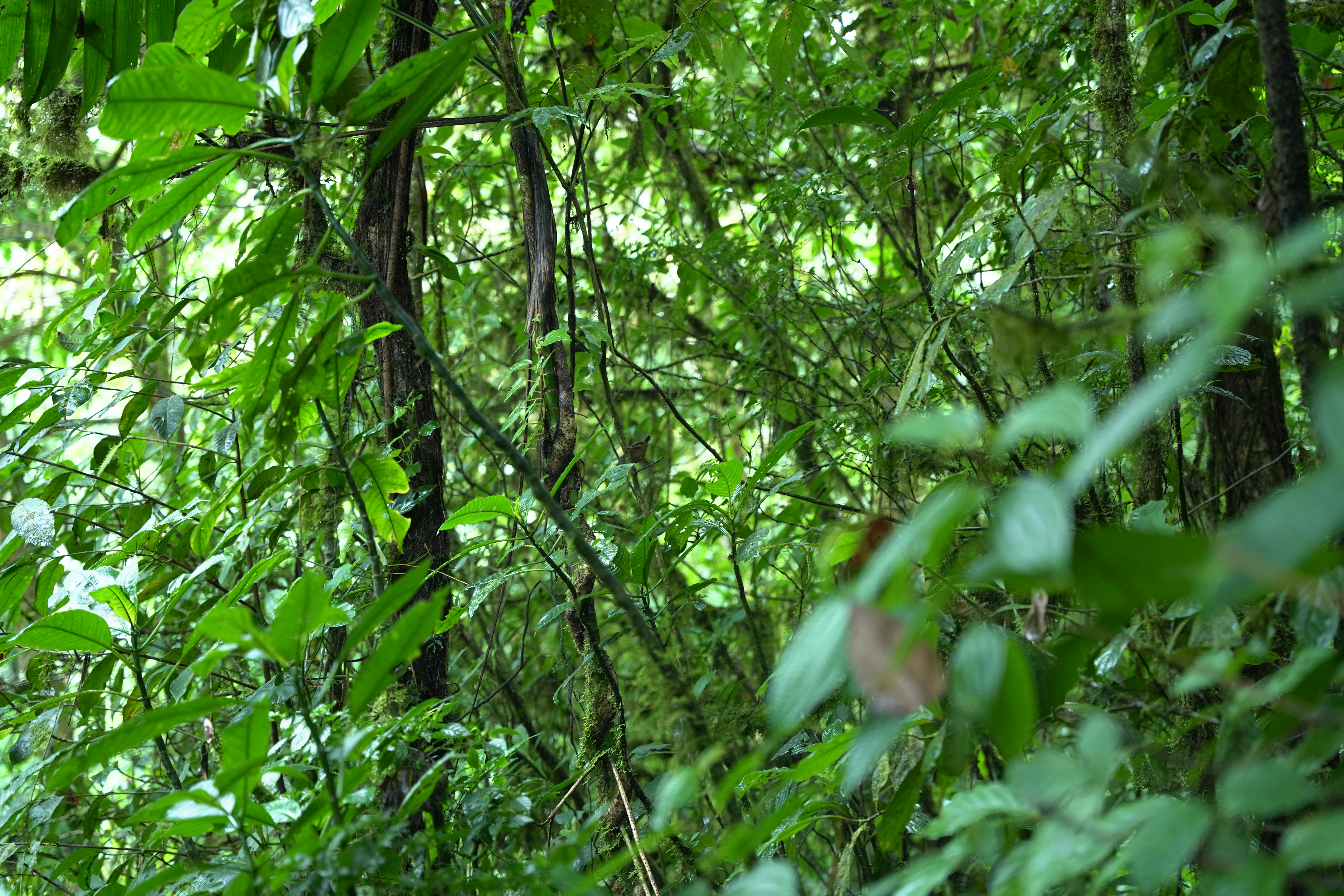 DSC06985