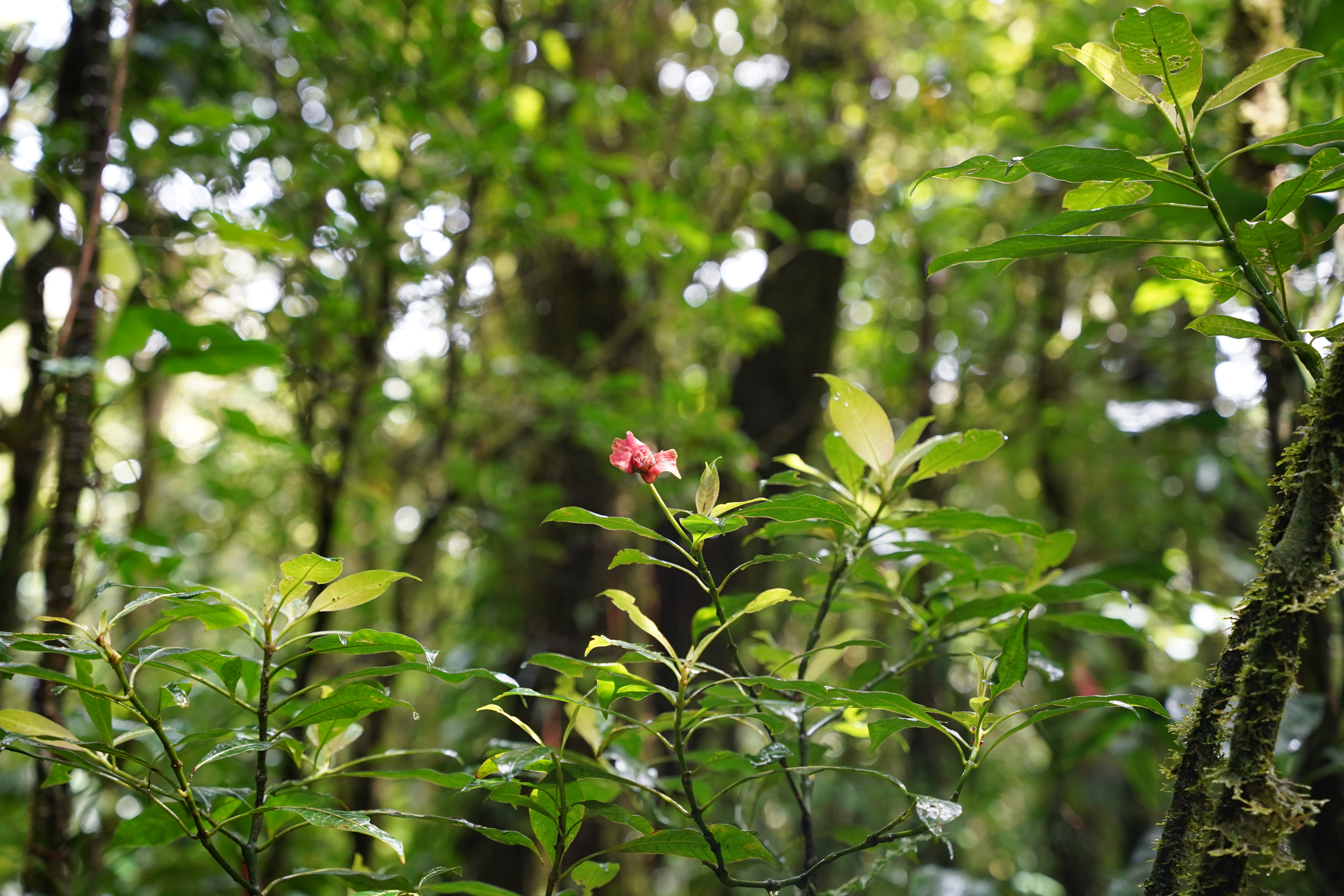 DSC07000