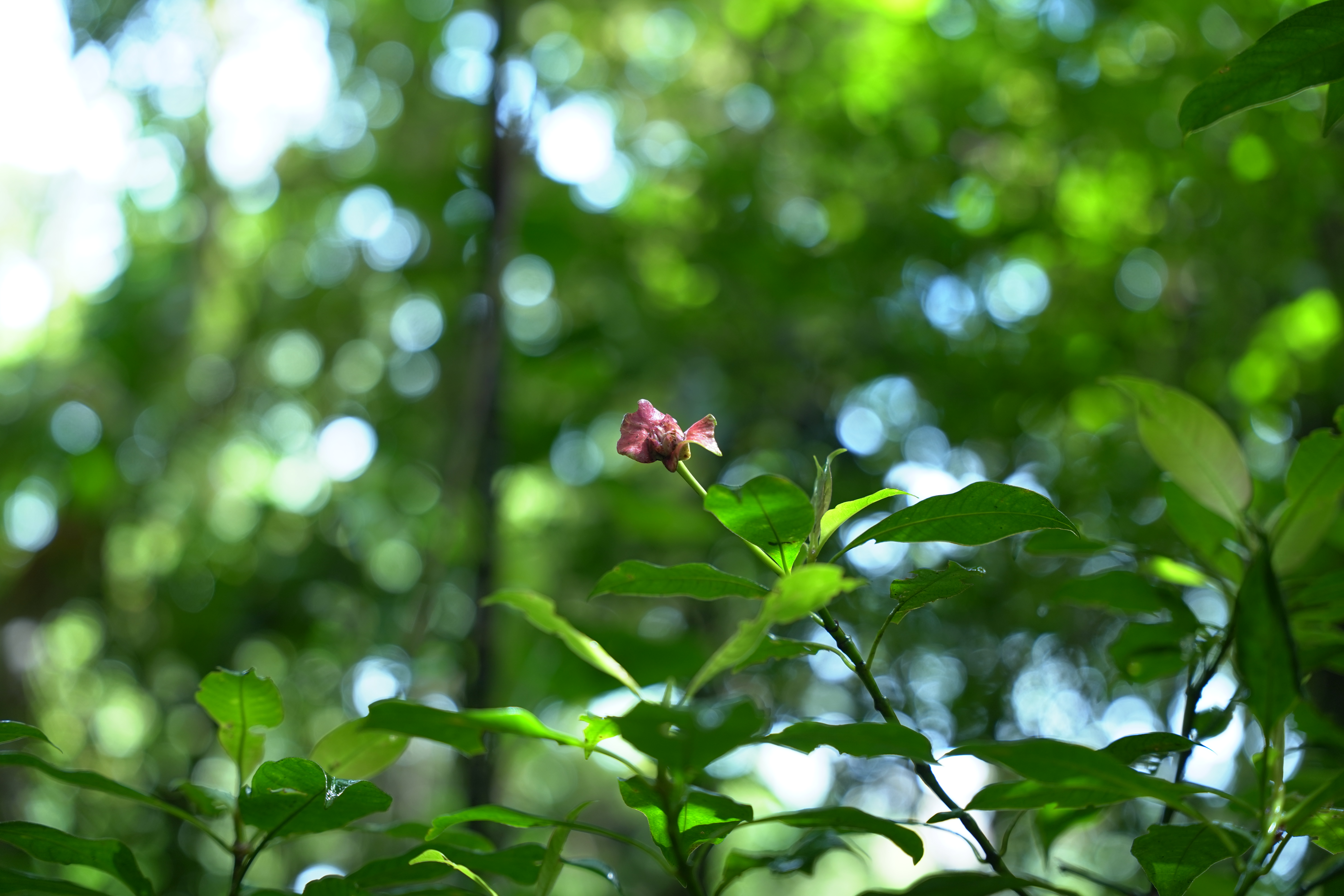 DSC07001
