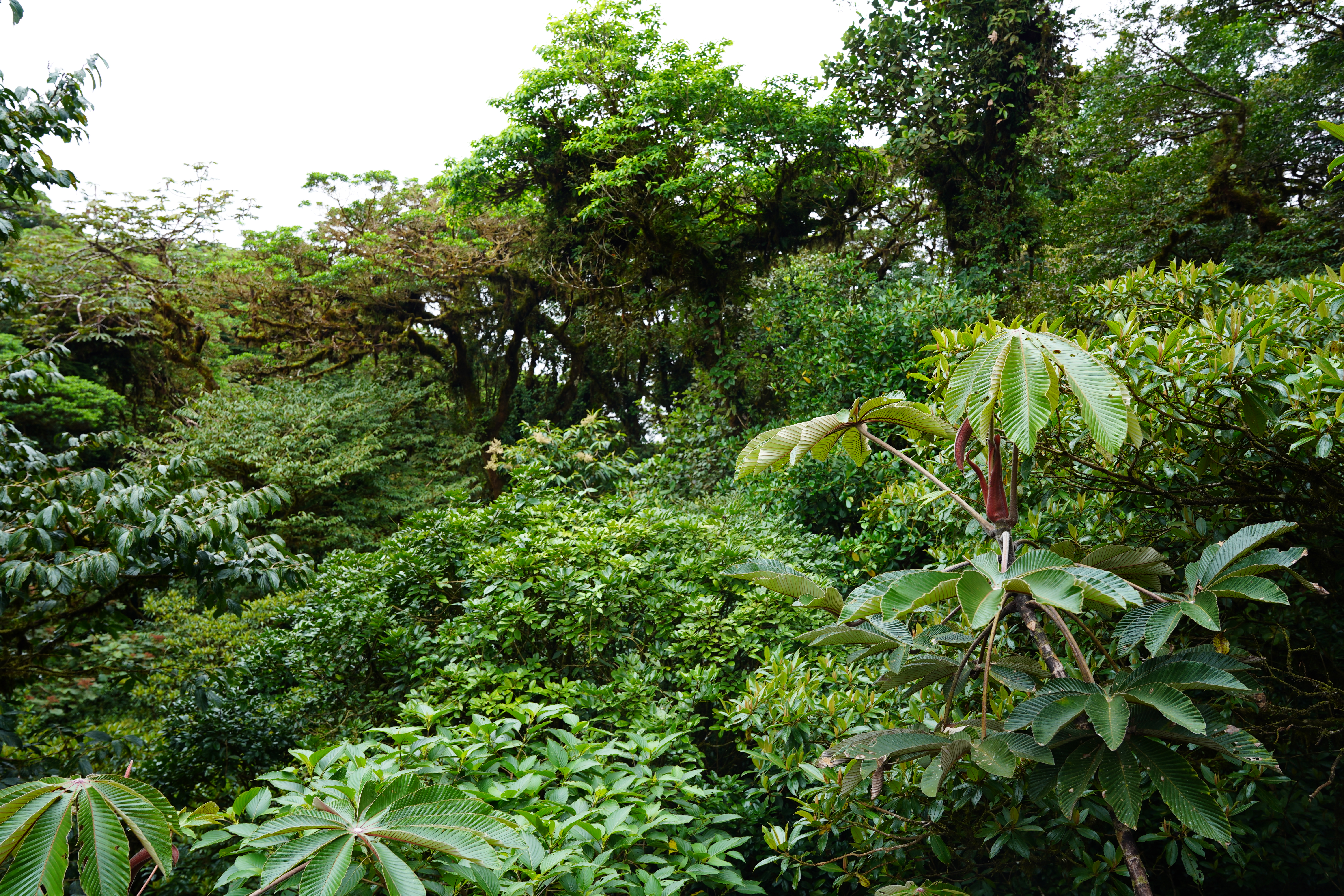 DSC07019